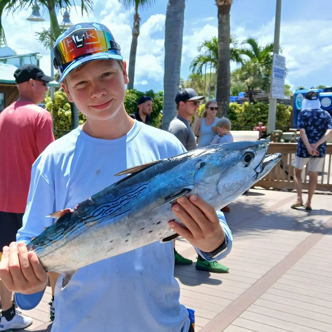 The most recent Plain bonito catches on Fishbrain