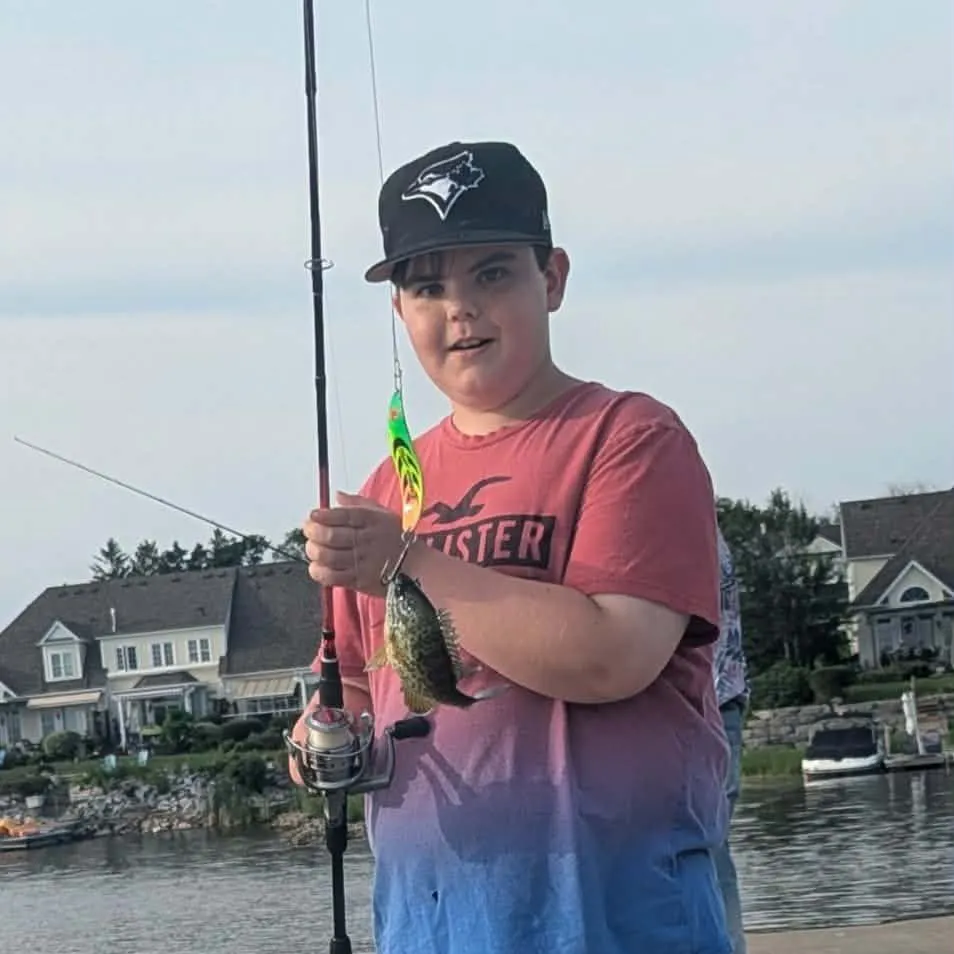 Bluegill caught on Fishbrain