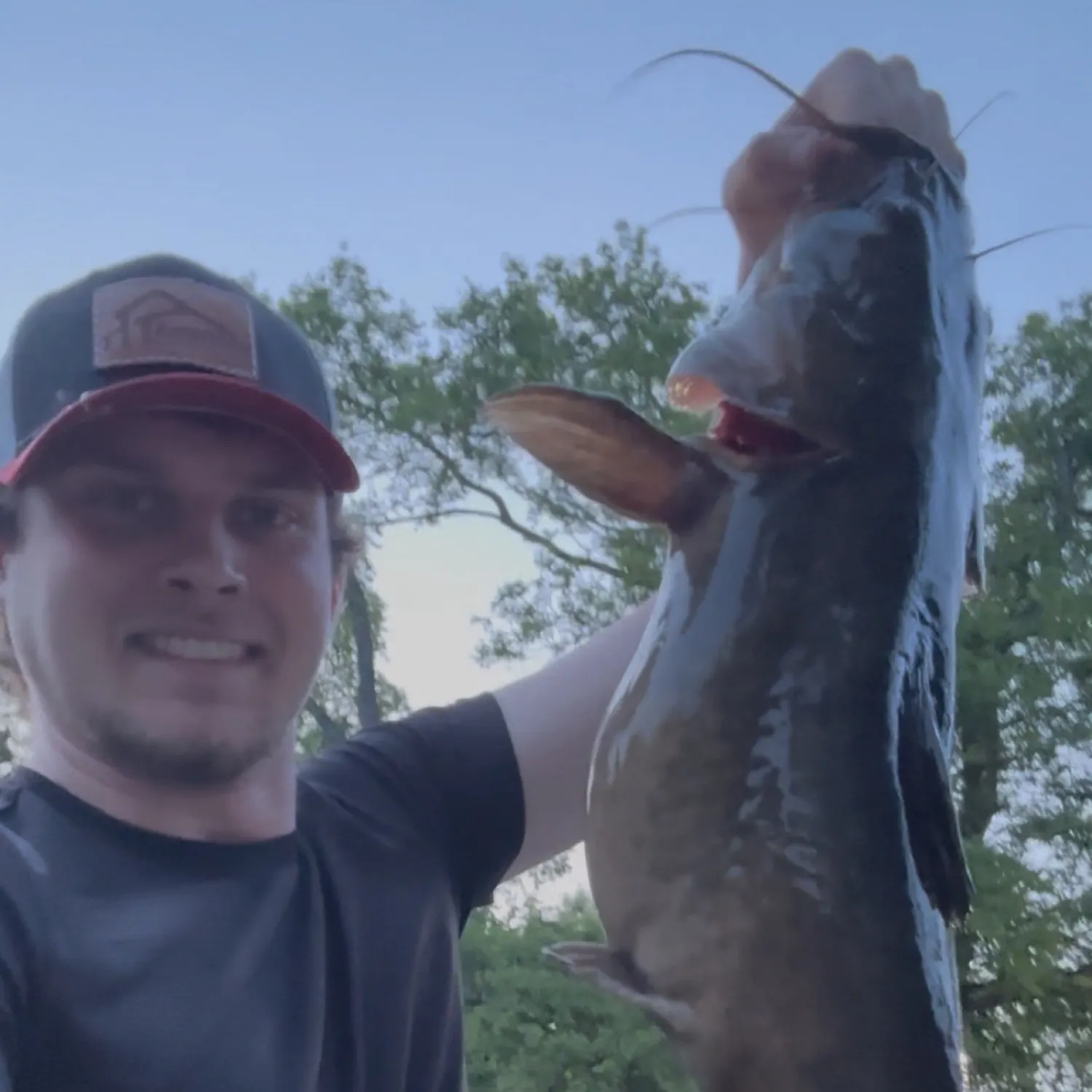 most liked catch image