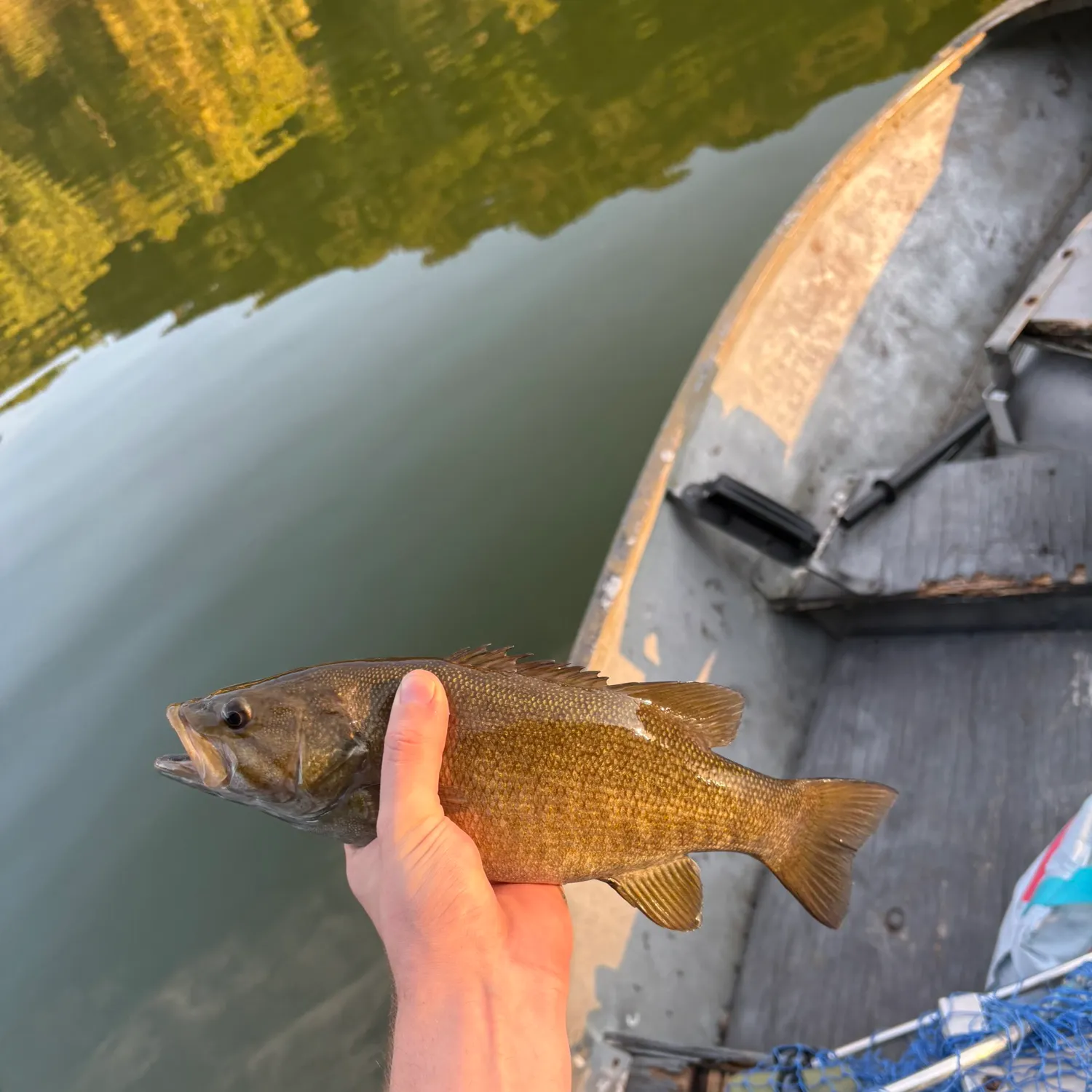 Smallmouth bass caught on Fishbrain