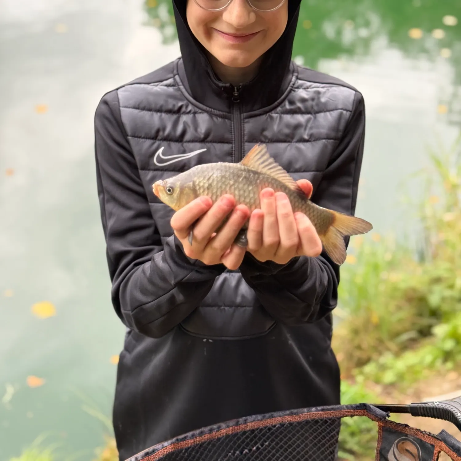 Common carp caught on Fishbrain
