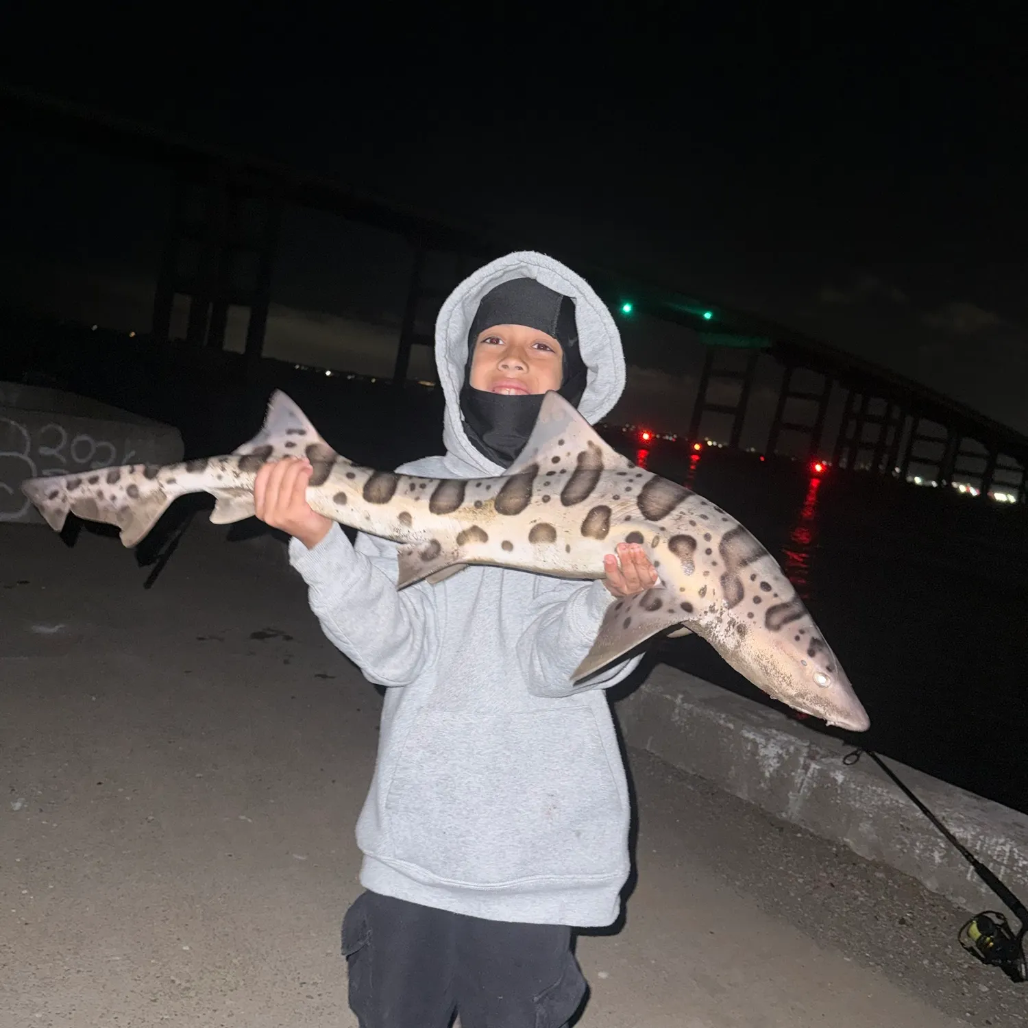 Leopard shark caught on Fishbrain