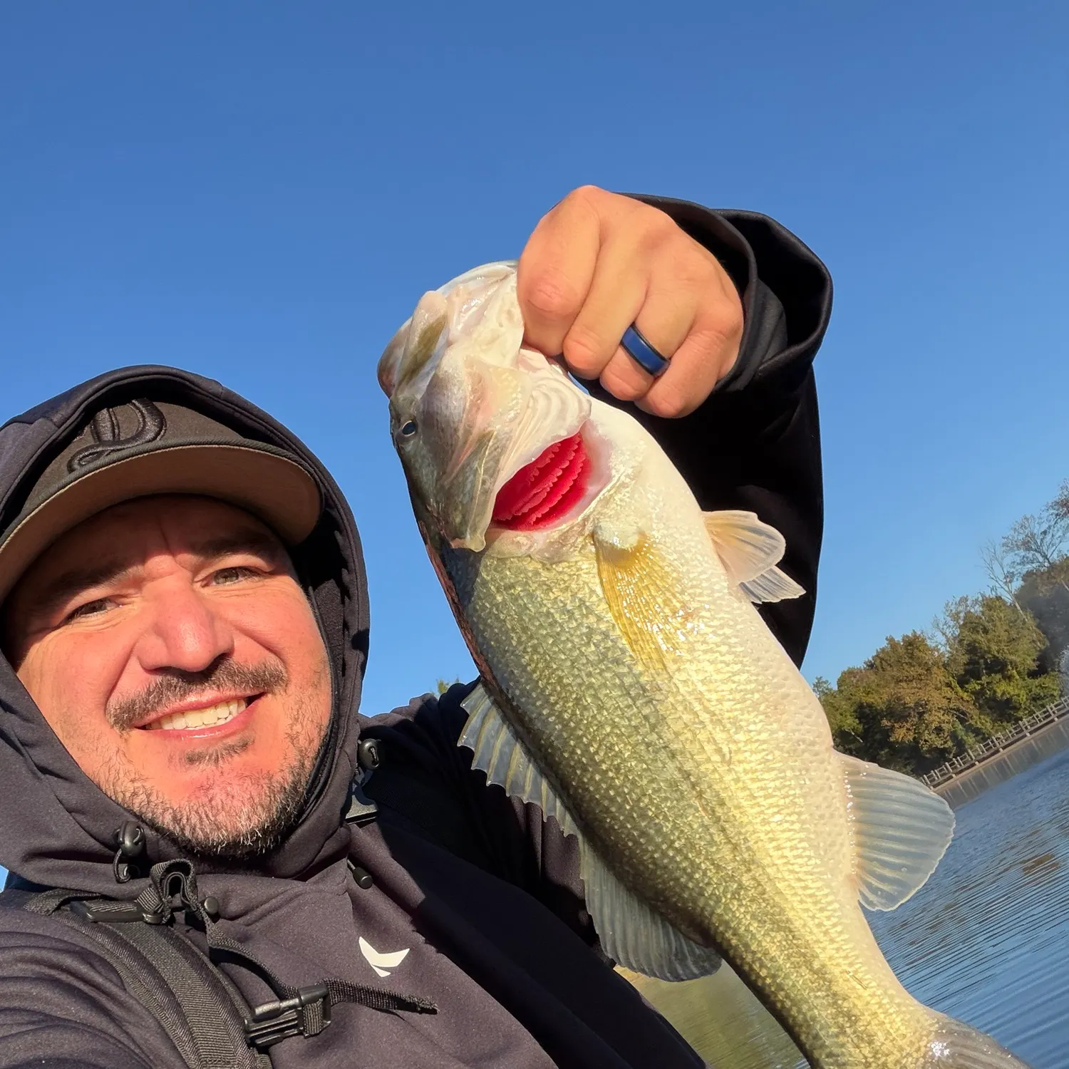 Largemouth bass caught on Fishbrain