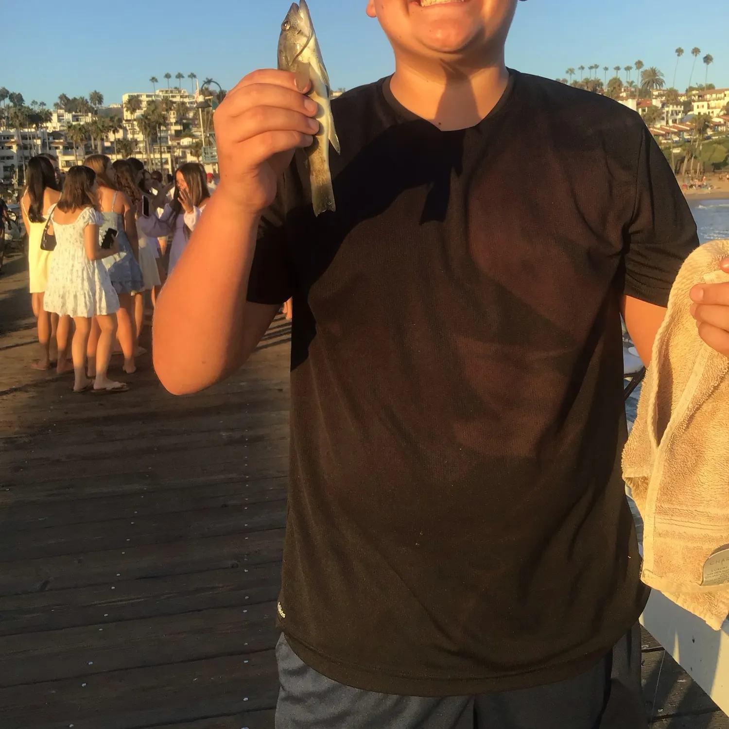 The most recent Barred sand bass catches on Fishbrain
