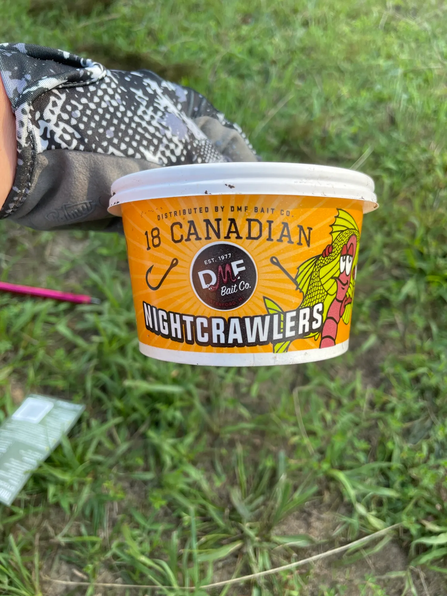 18 Canadian Nightcrawlers