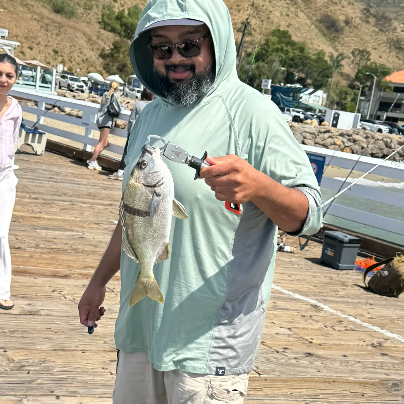 The most recent Sargo catches on Fishbrain