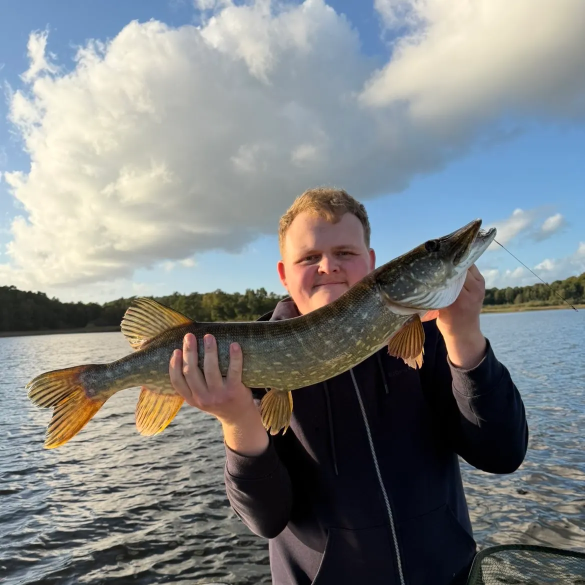 Northern pike caught on Fishbrain