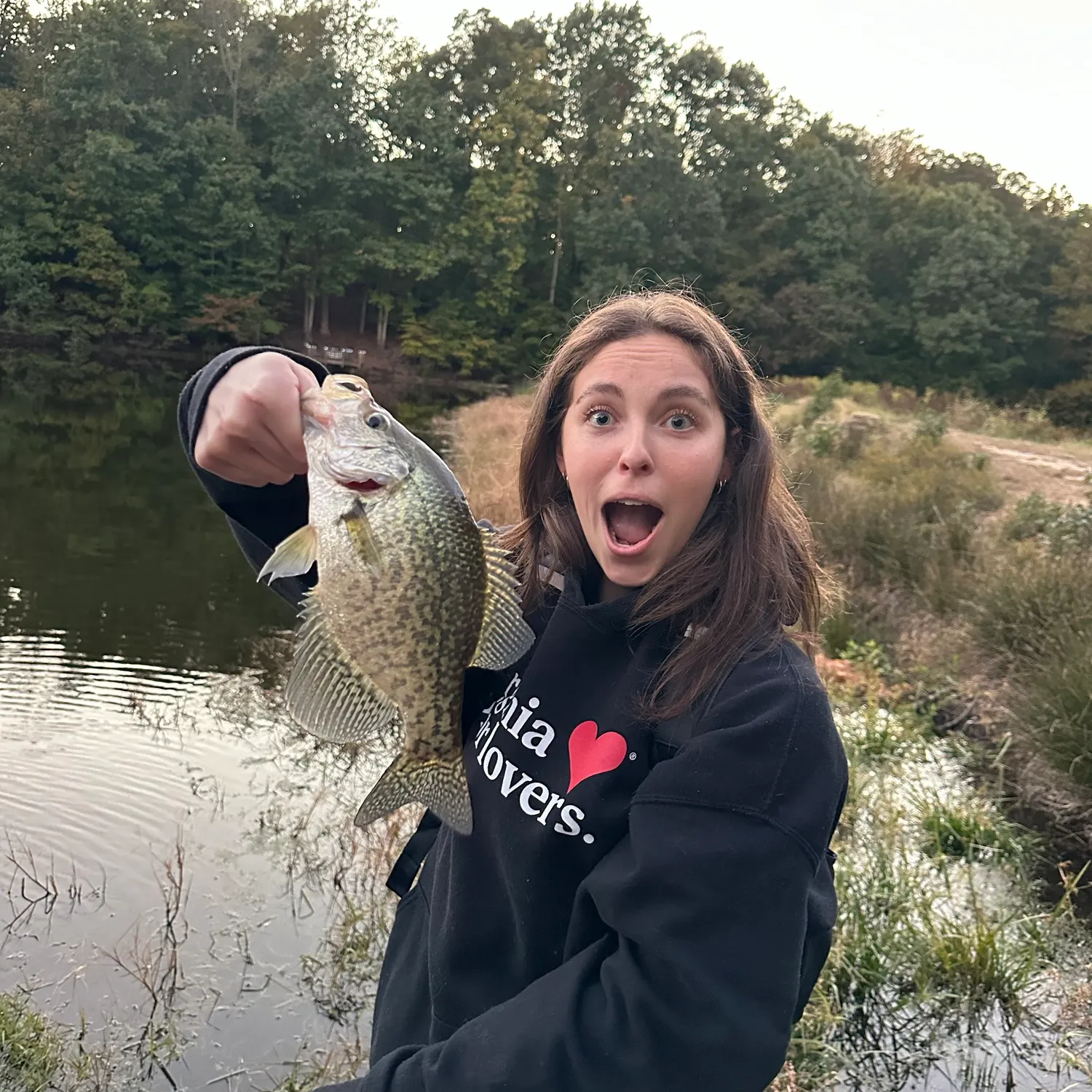 Black crappie caught on Fishbrain