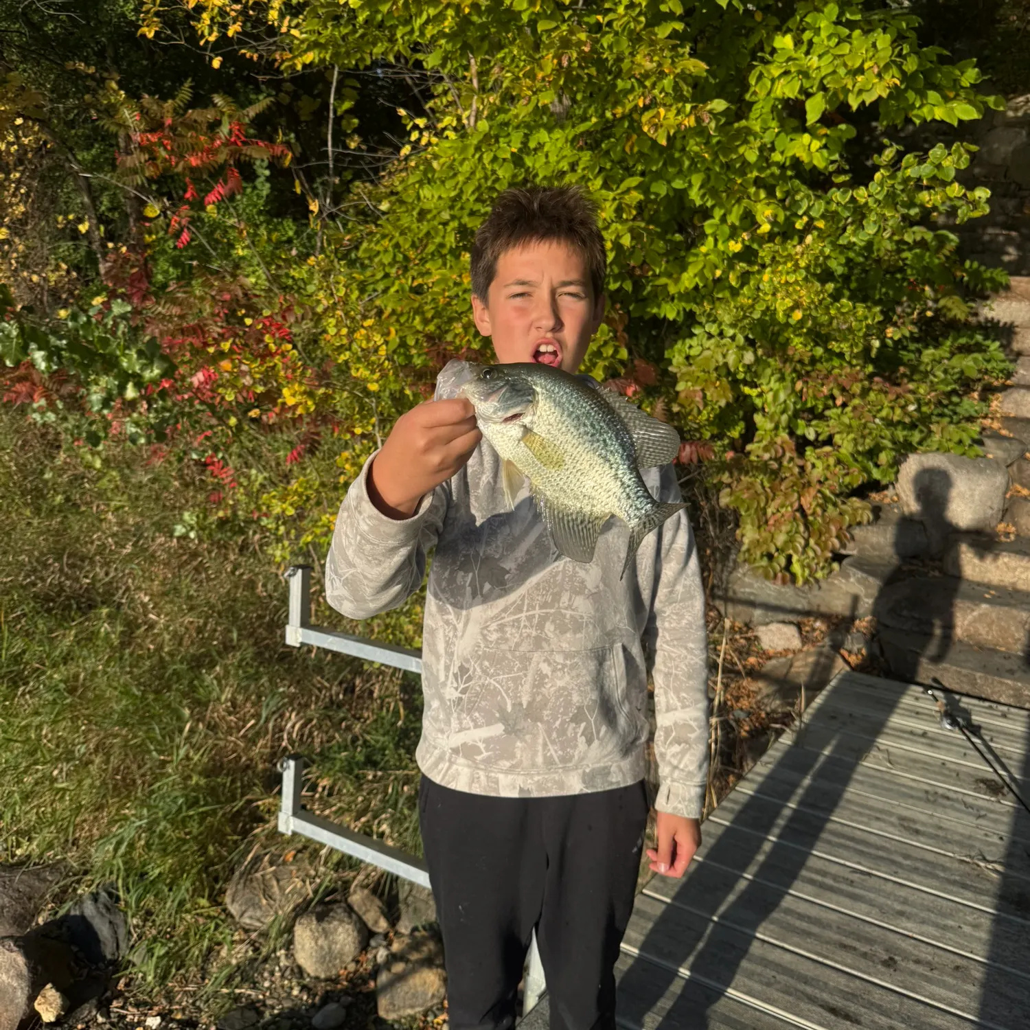Black crappie caught on Fishbrain