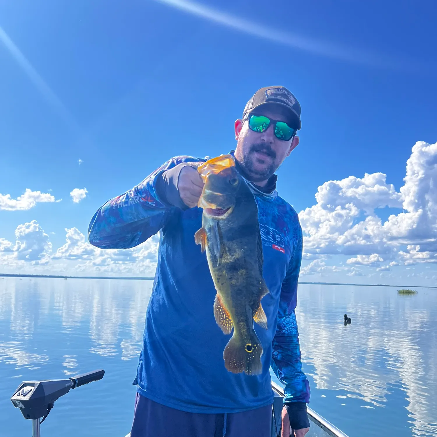 The most recent Kelberi peacock bass catches on Fishbrain