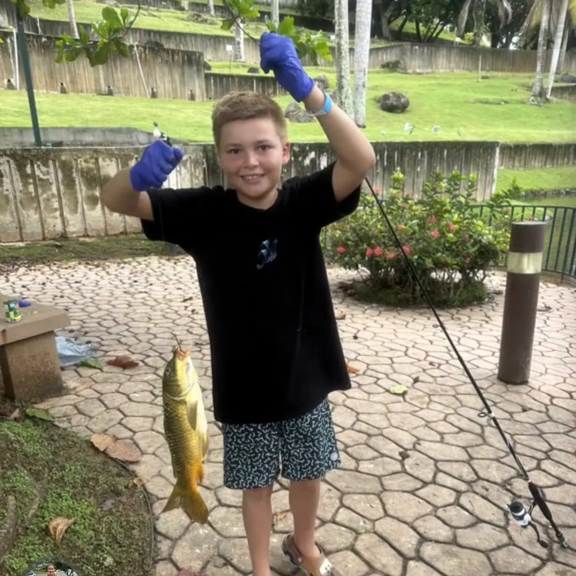 The most recent Koi x common carp catches on Fishbrain