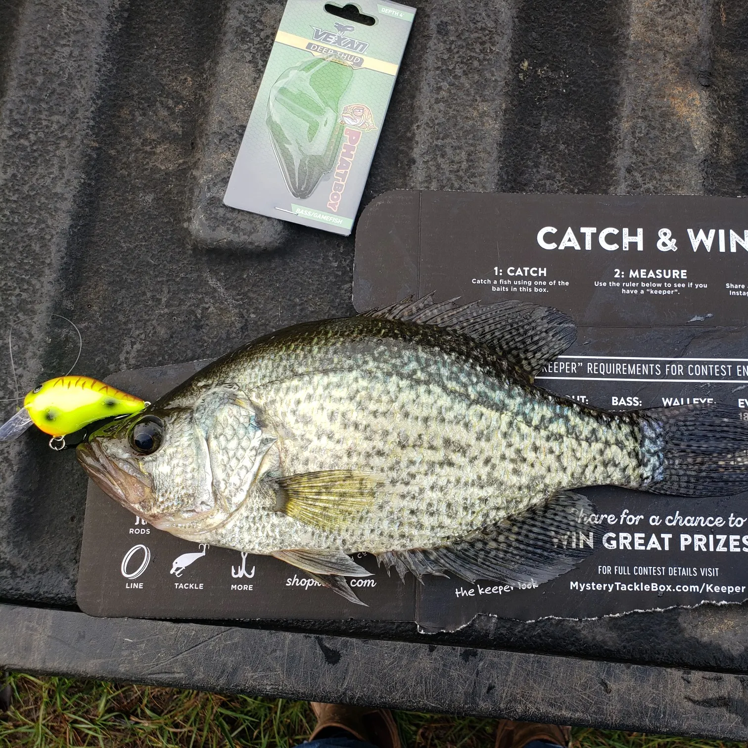 recently logged catches
