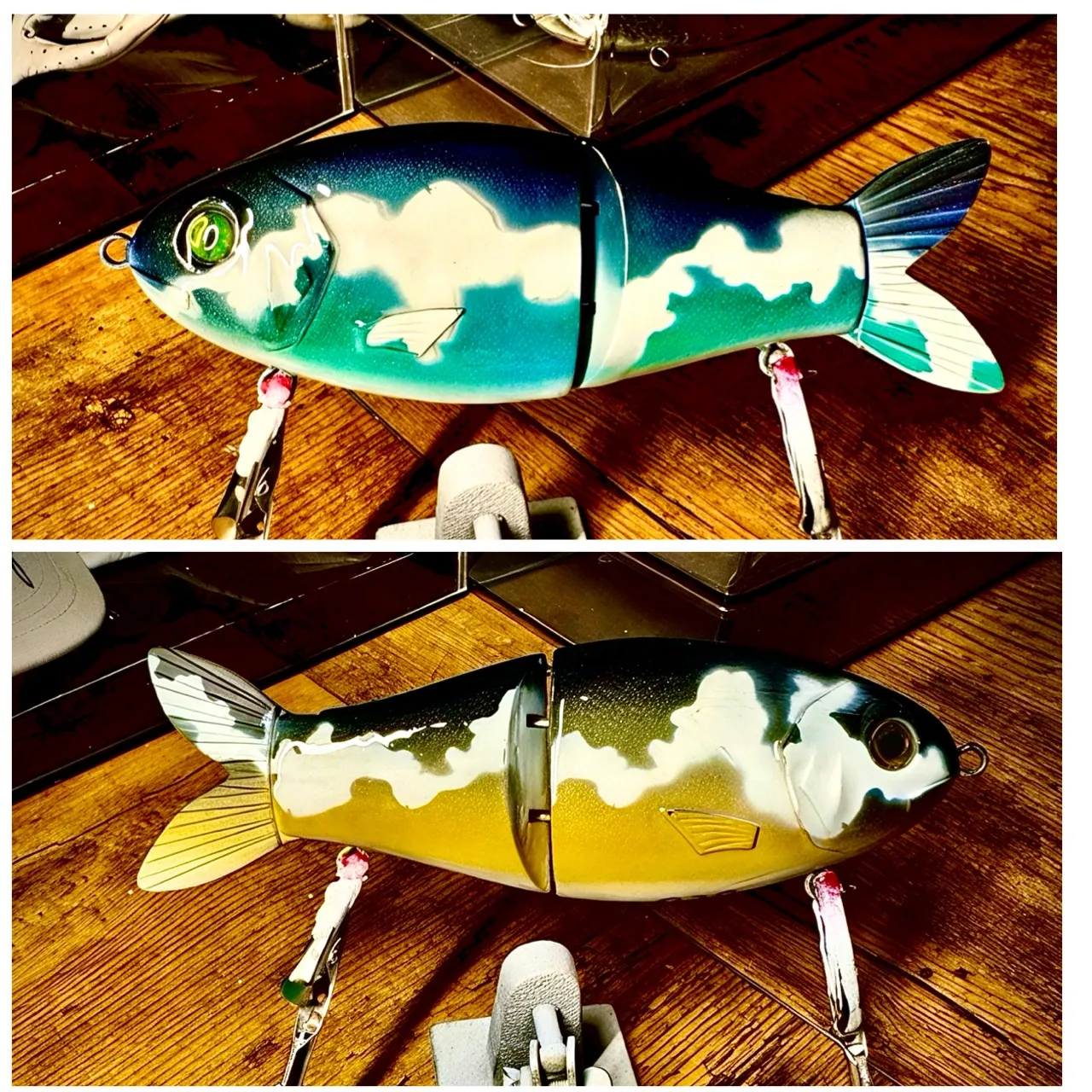 The most recent American shad catches on Fishbrain