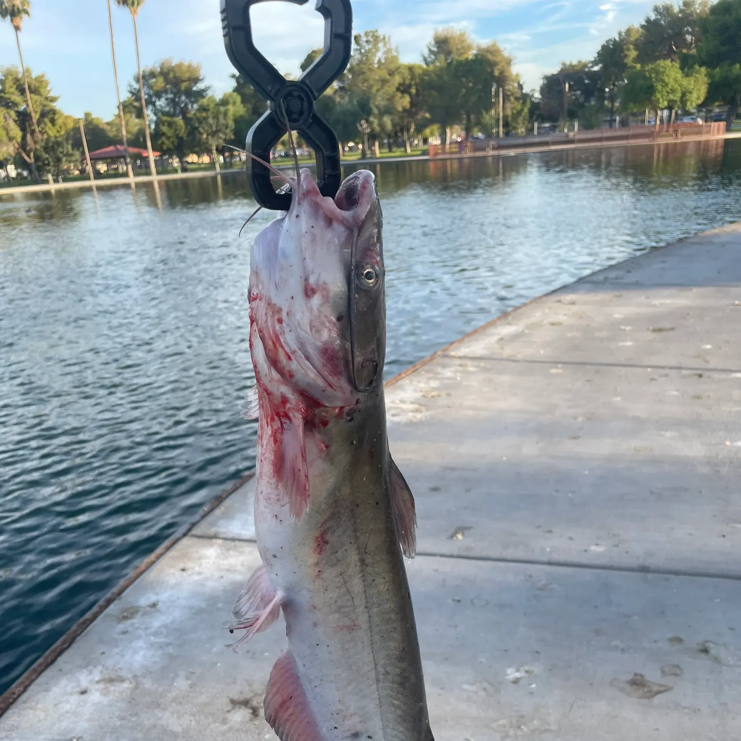 catch
