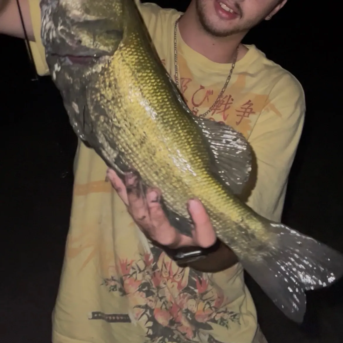 Largemouth bass caught on Fishbrain