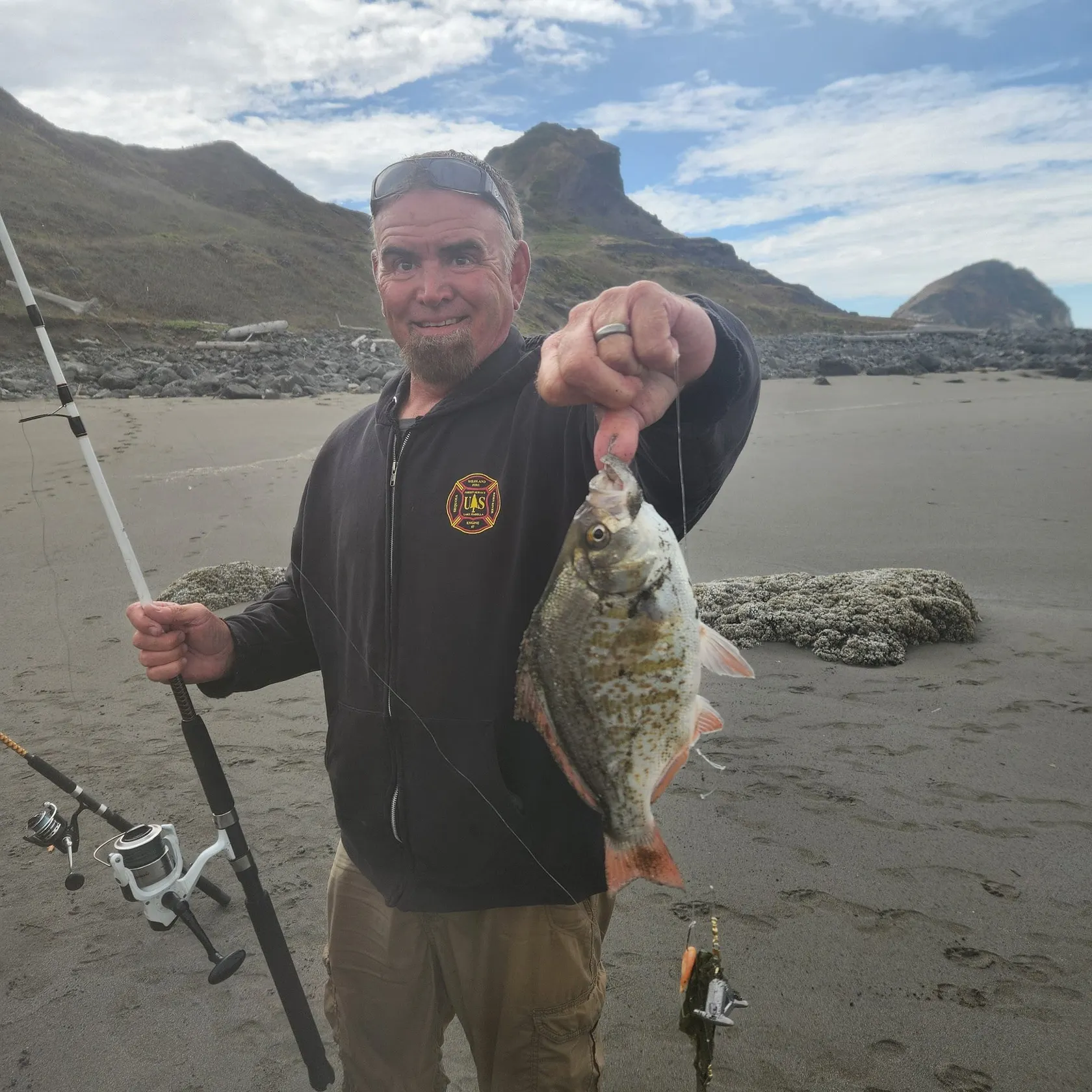 The most recent Redtail surfperch catches on Fishbrain