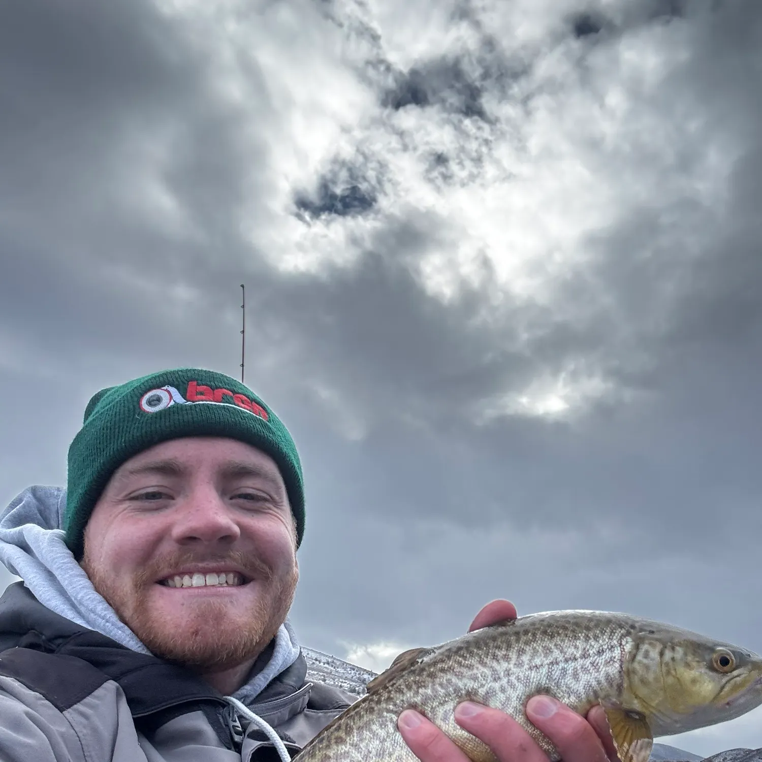 The most recent Tiger trout catches on Fishbrain