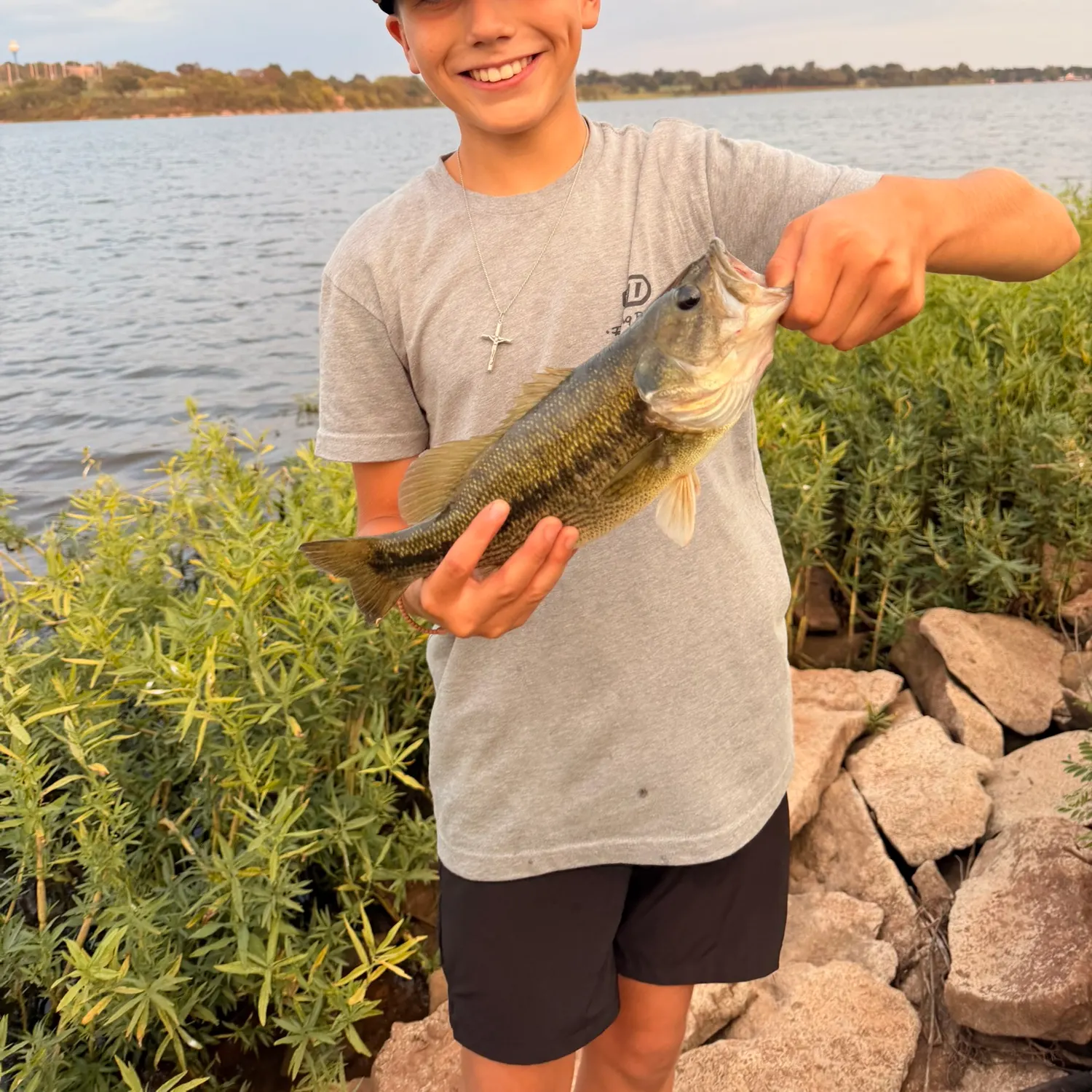 Spotted bass caught on Fishbrain