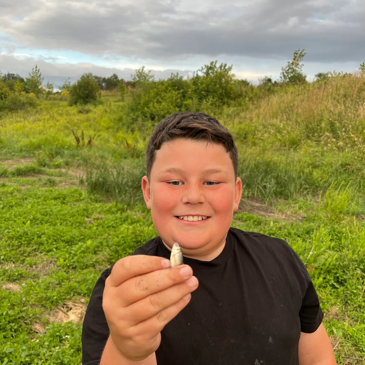 The most recent Fathead minnow catches on Fishbrain