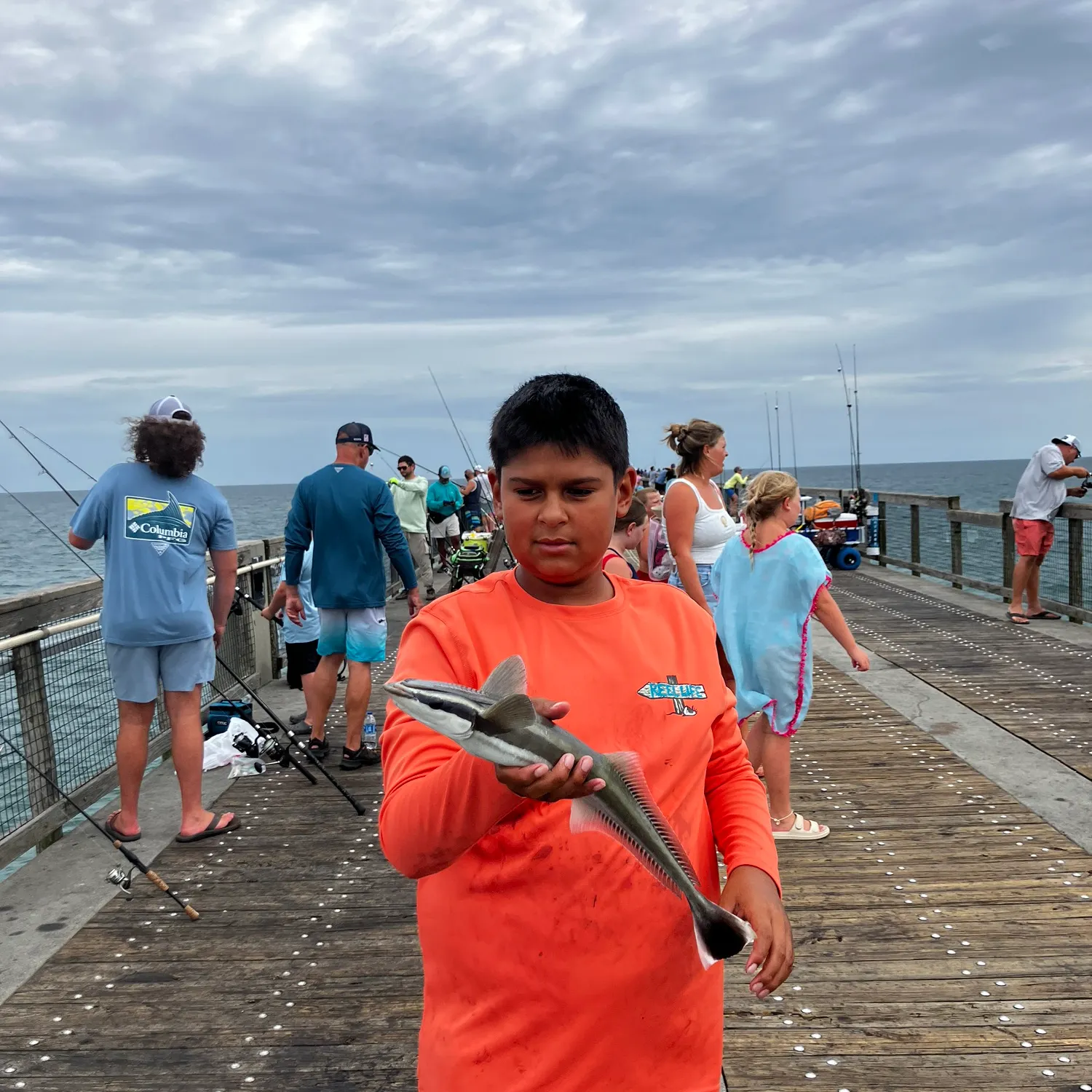 The most recent Common remora catches on Fishbrain