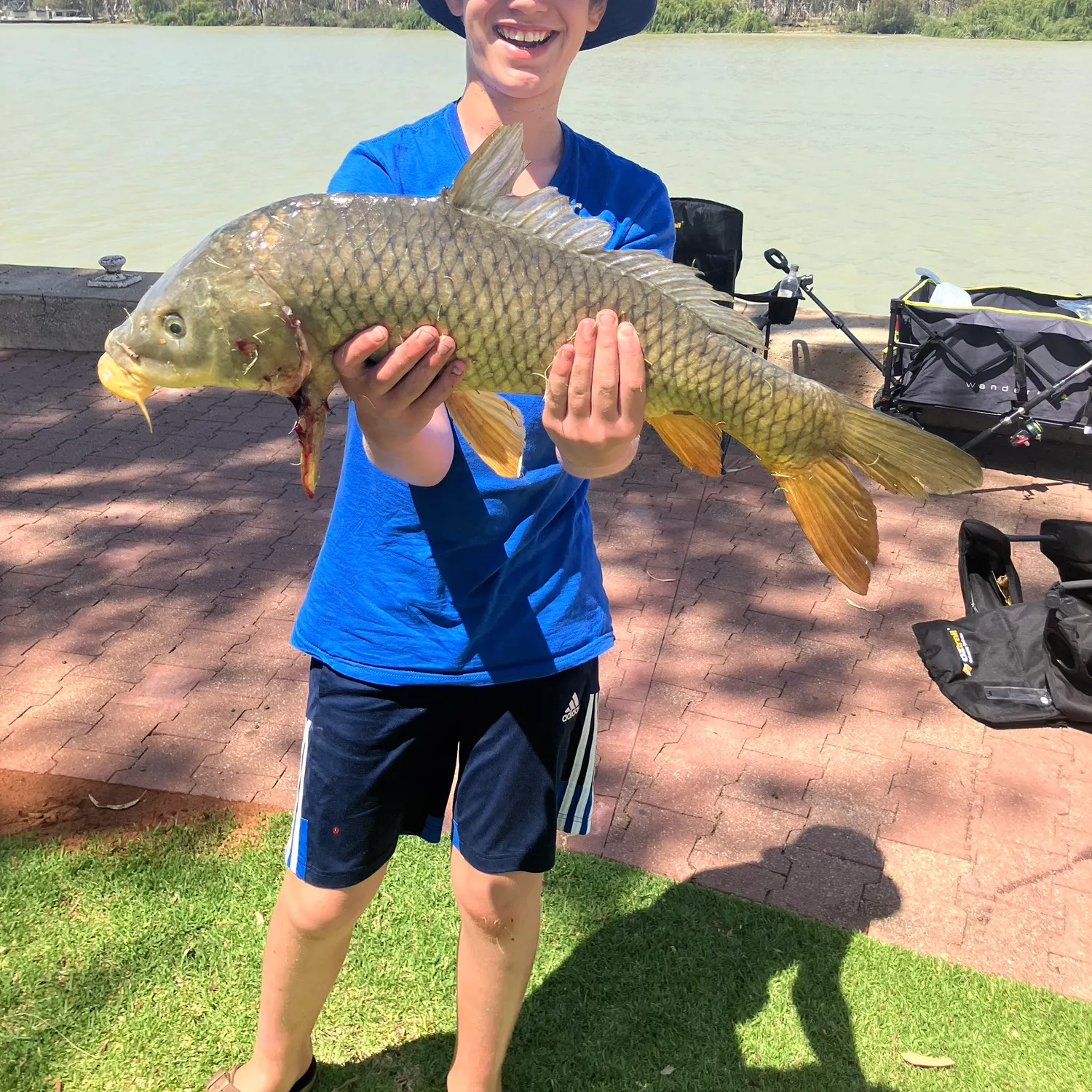 The most recent Common carp catches on Fishbrain