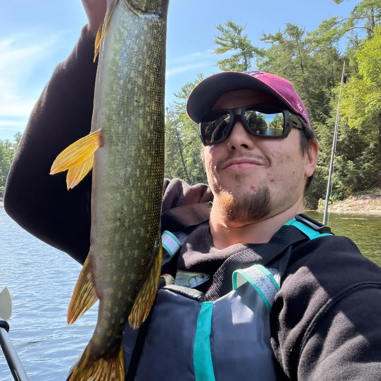Northern pike caught on Fishbrain