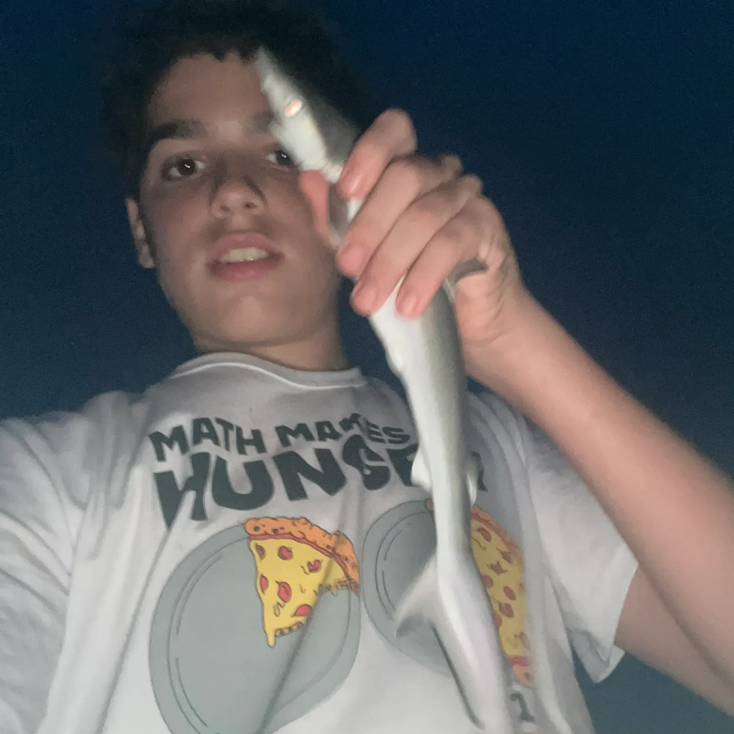The most recent Bull shark catches on Fishbrain