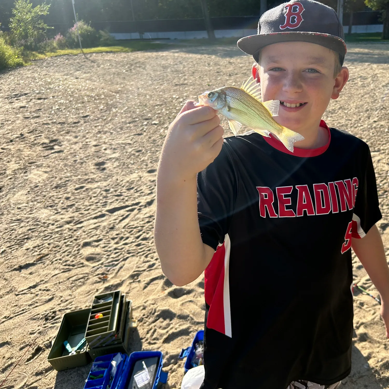 The most recent White perch catches on Fishbrain