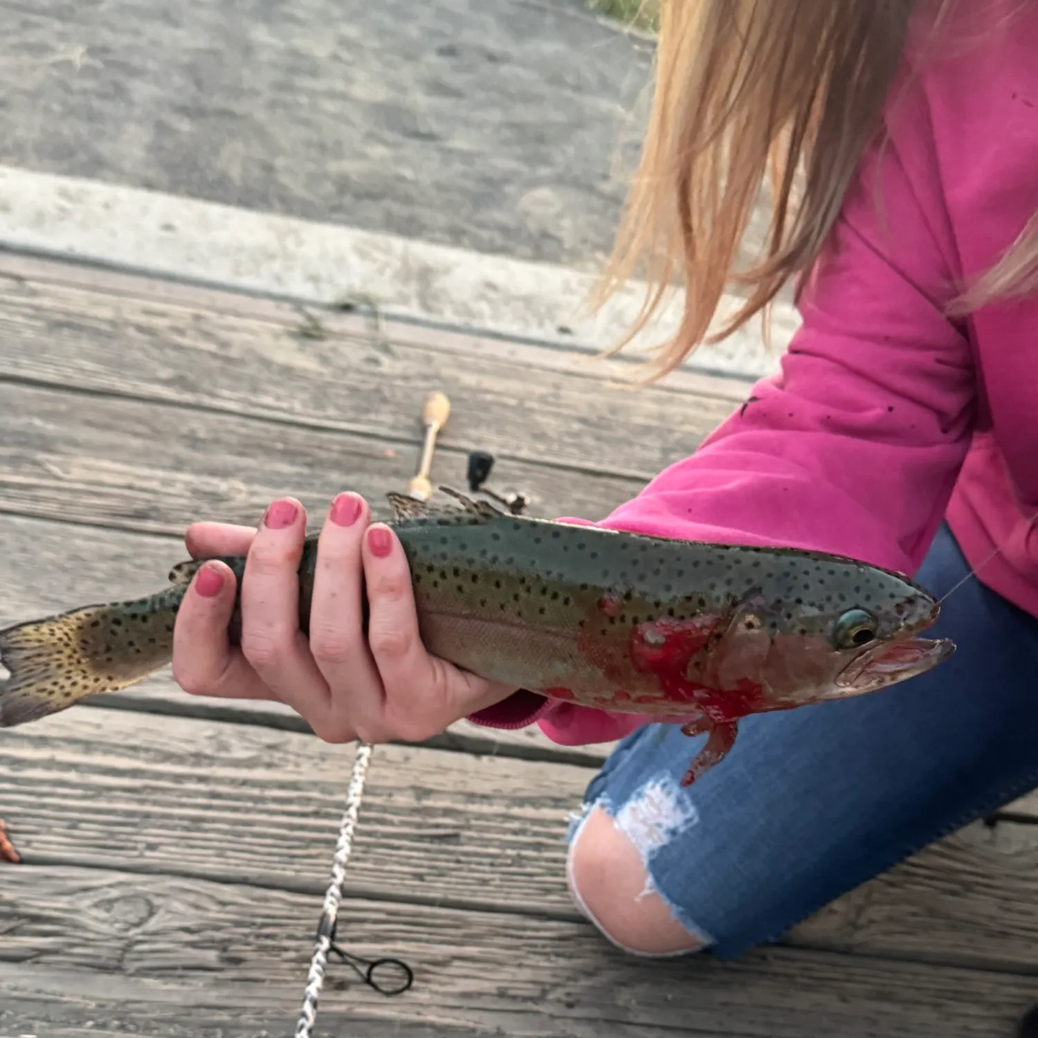 Rainbow trout caught on Fishbrain