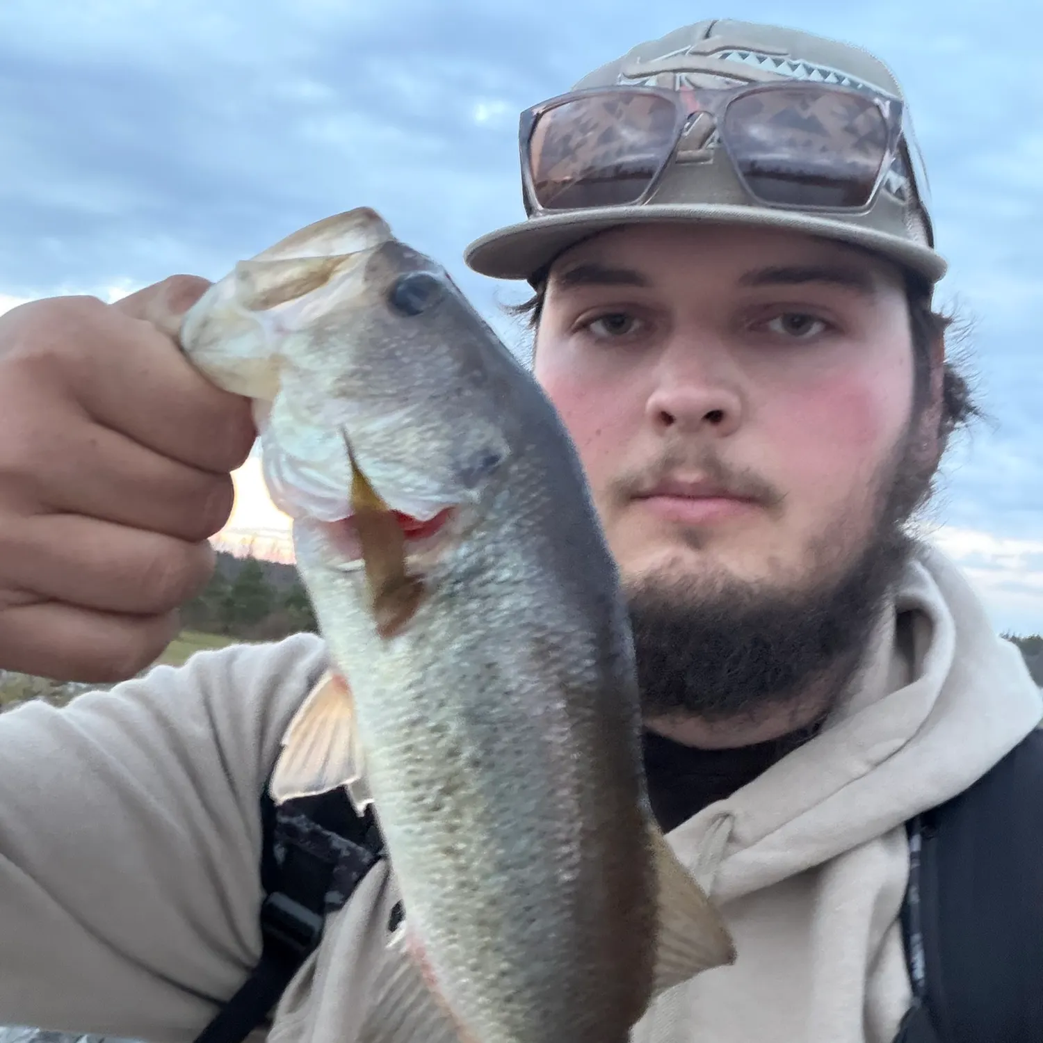 Largemouth bass caught on Fishbrain