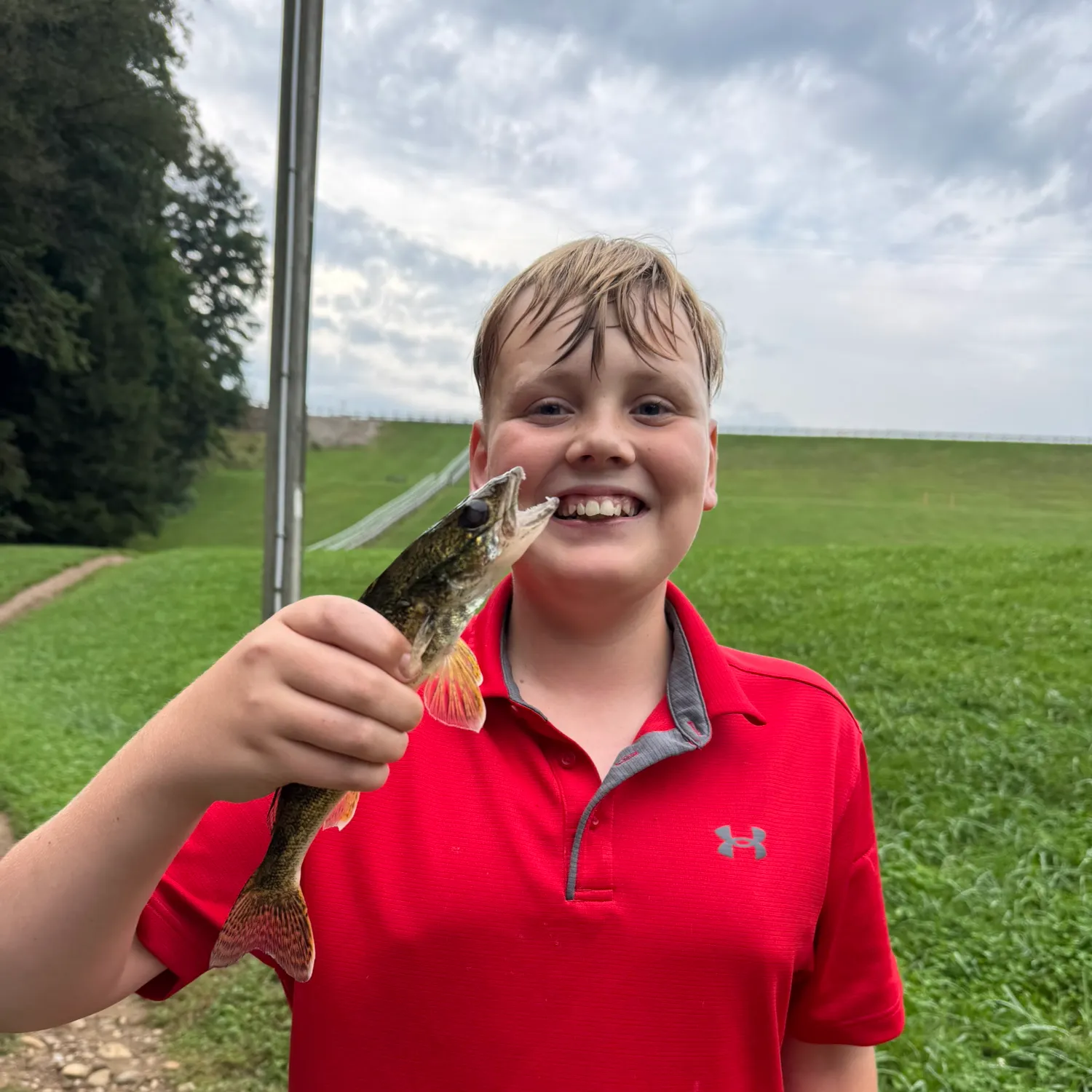 Saugeye caught on Fishbrain
