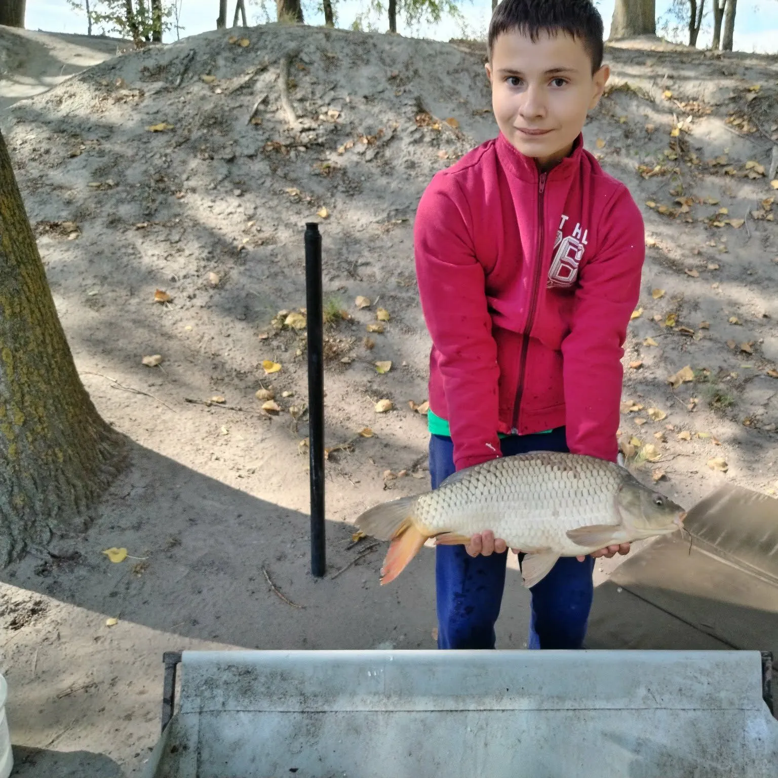 Common carp caught on Fishbrain