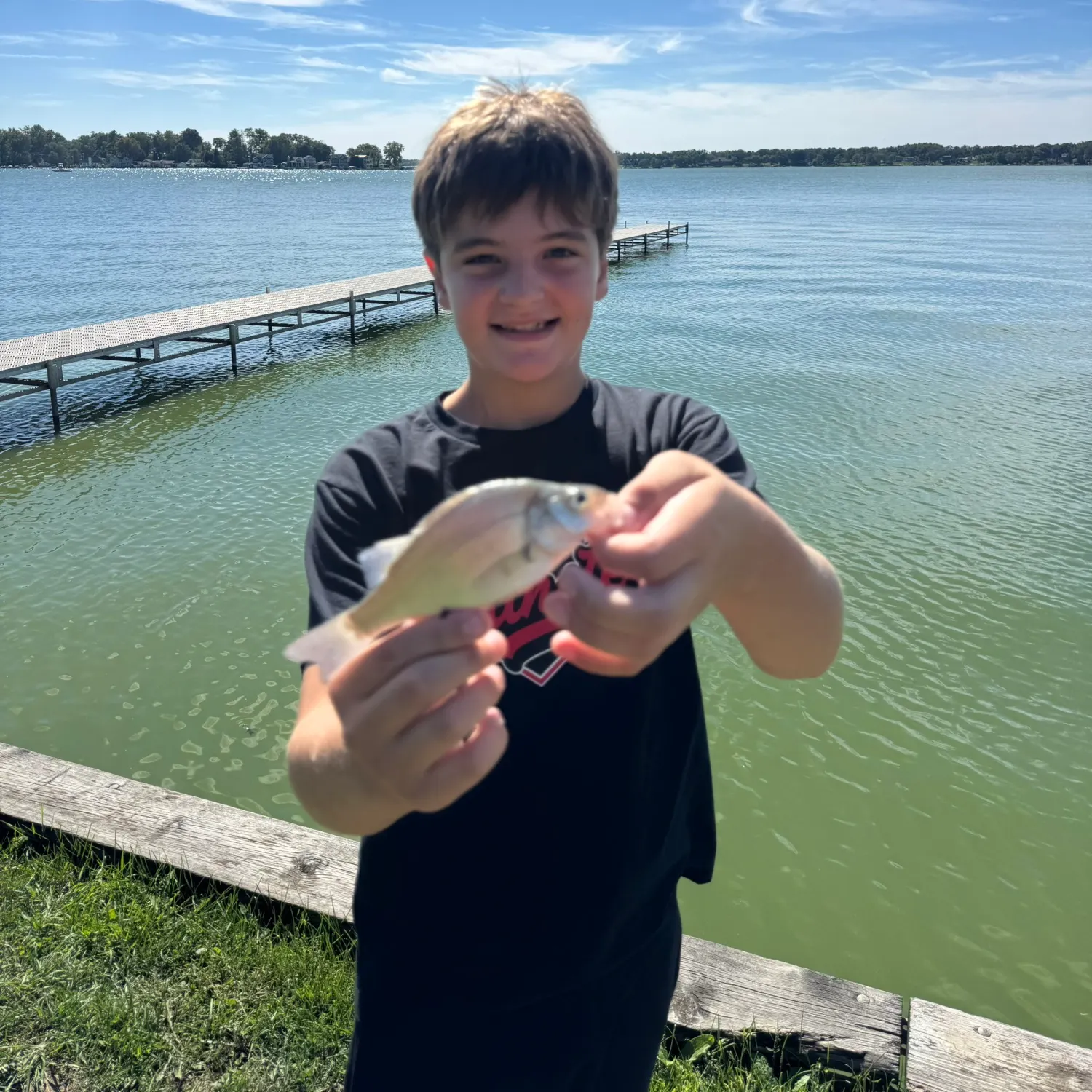 White perch caught on Fishbrain