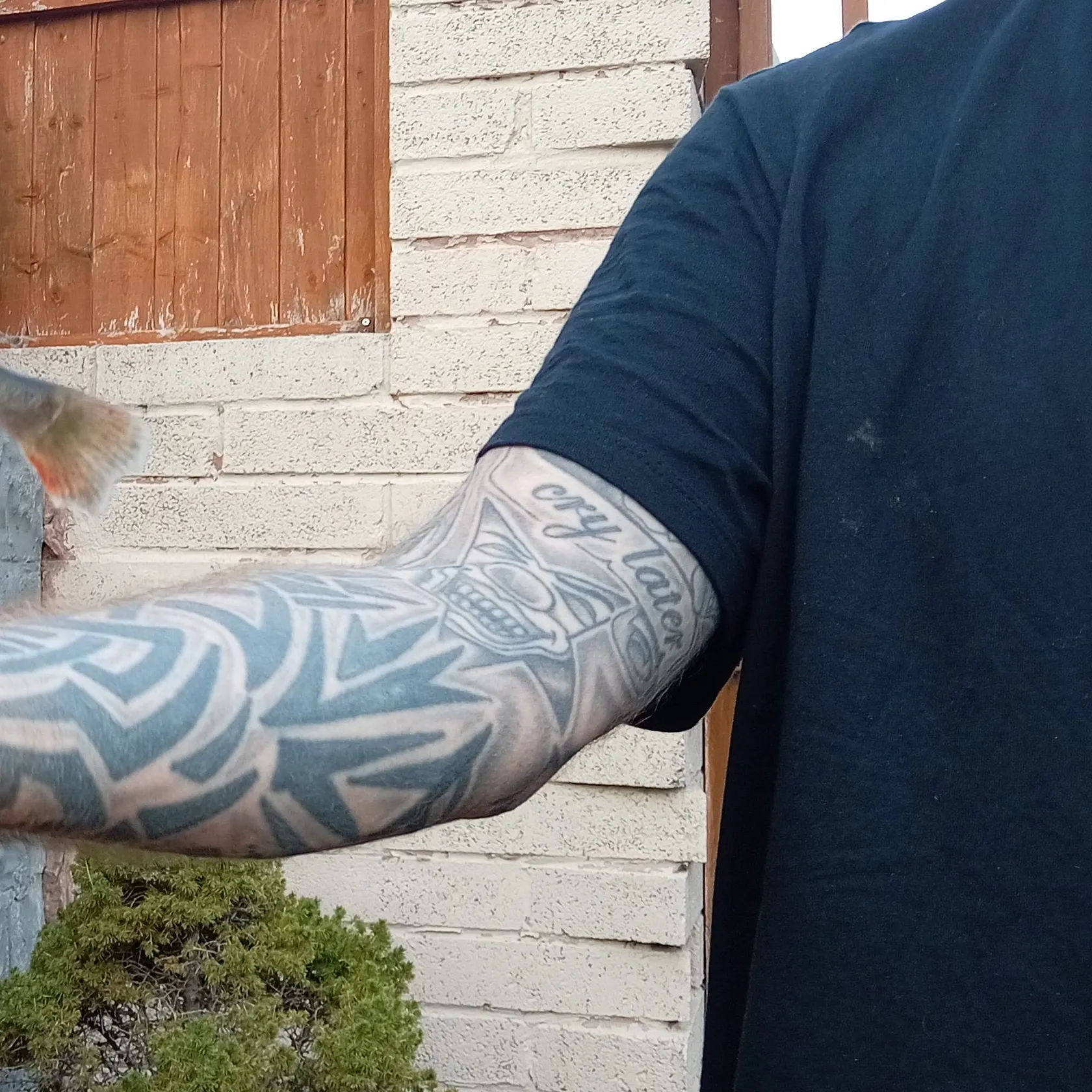 Fish caught on Fishbrain
