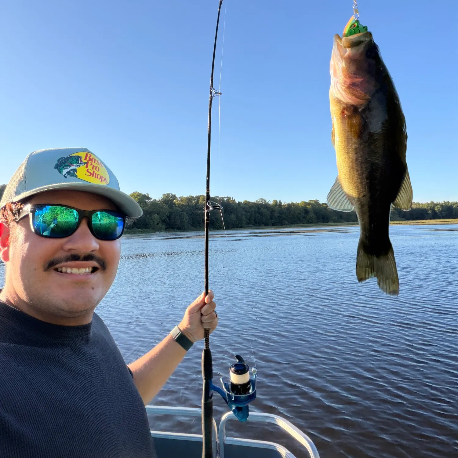 Largemouth bass caught on Fishbrain