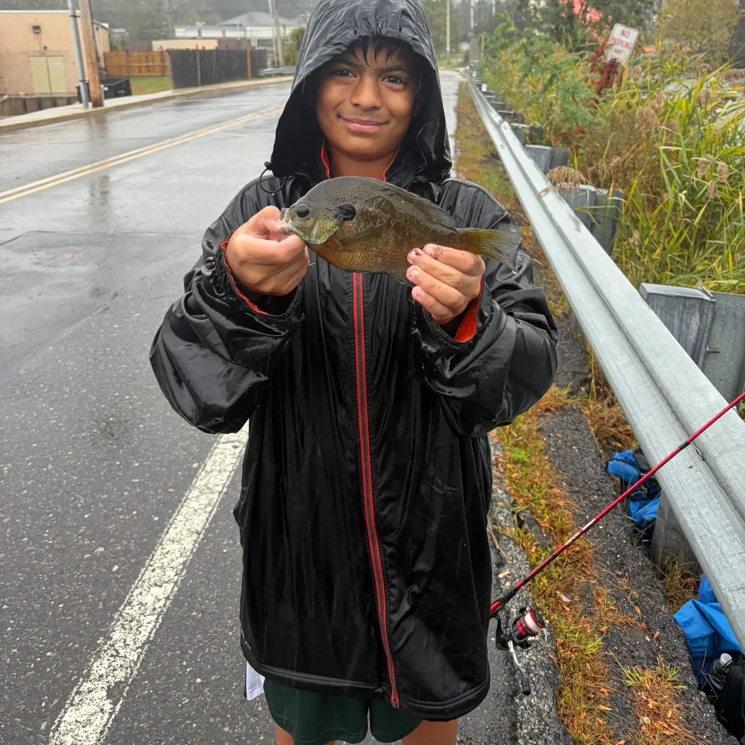 Bluegill caught on Fishbrain
