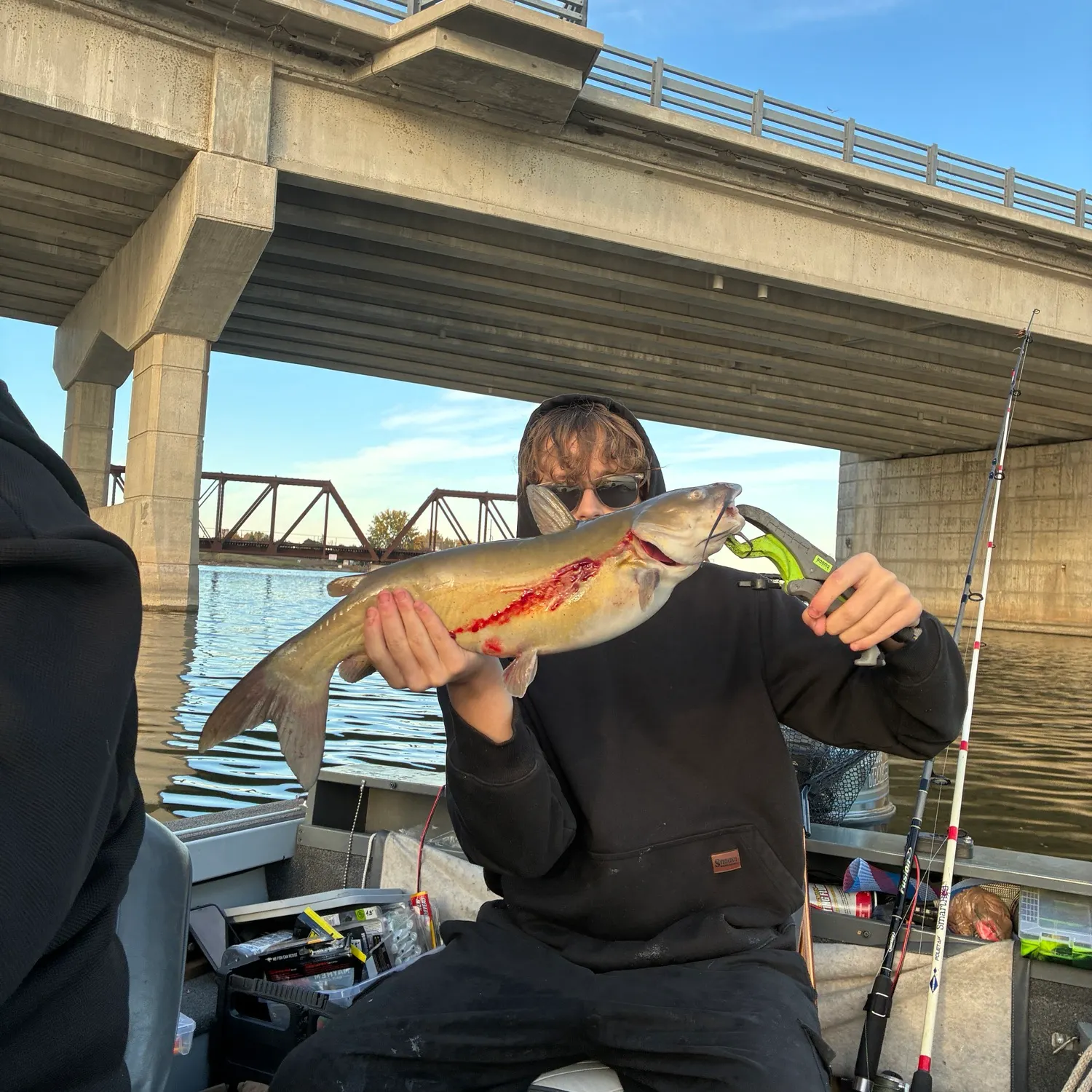 Channel catfish caught on Fishbrain