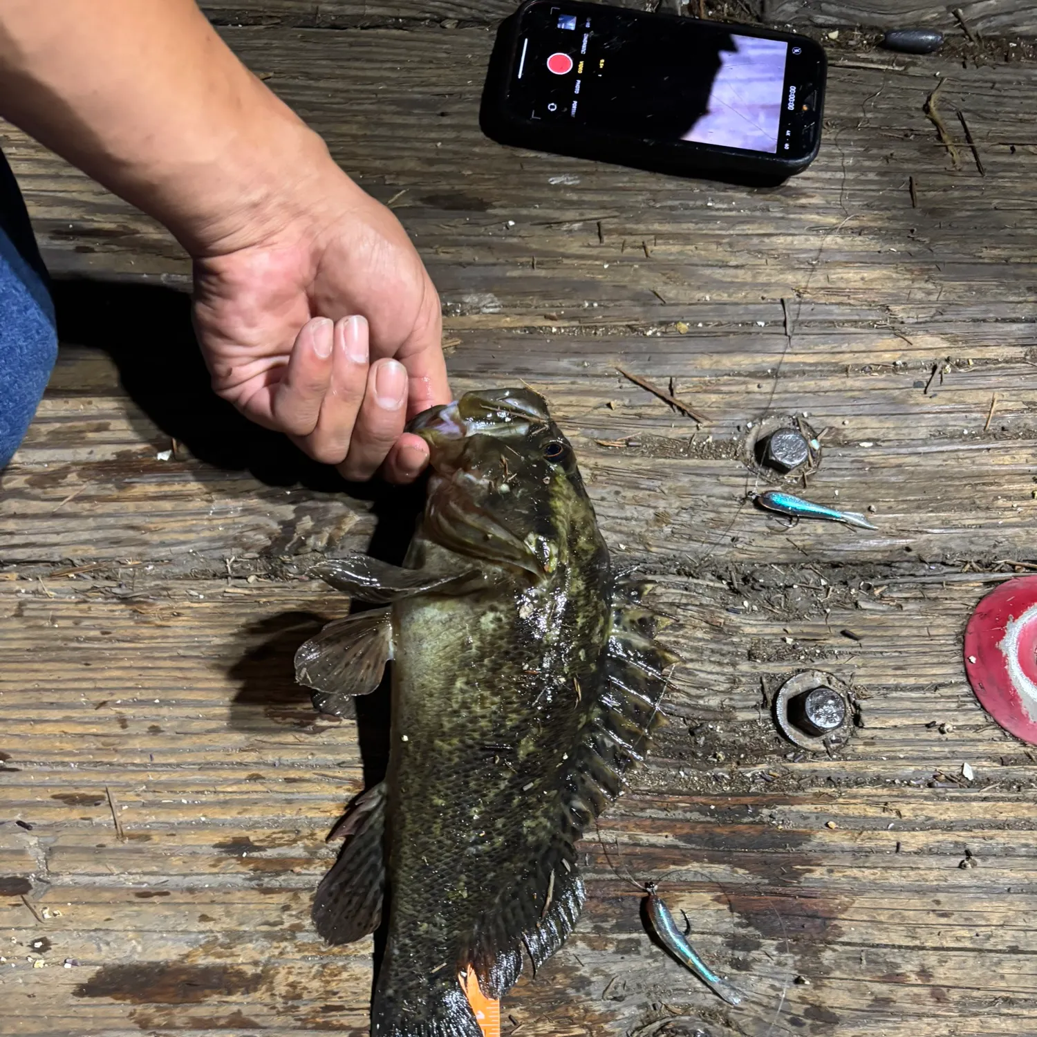 catch