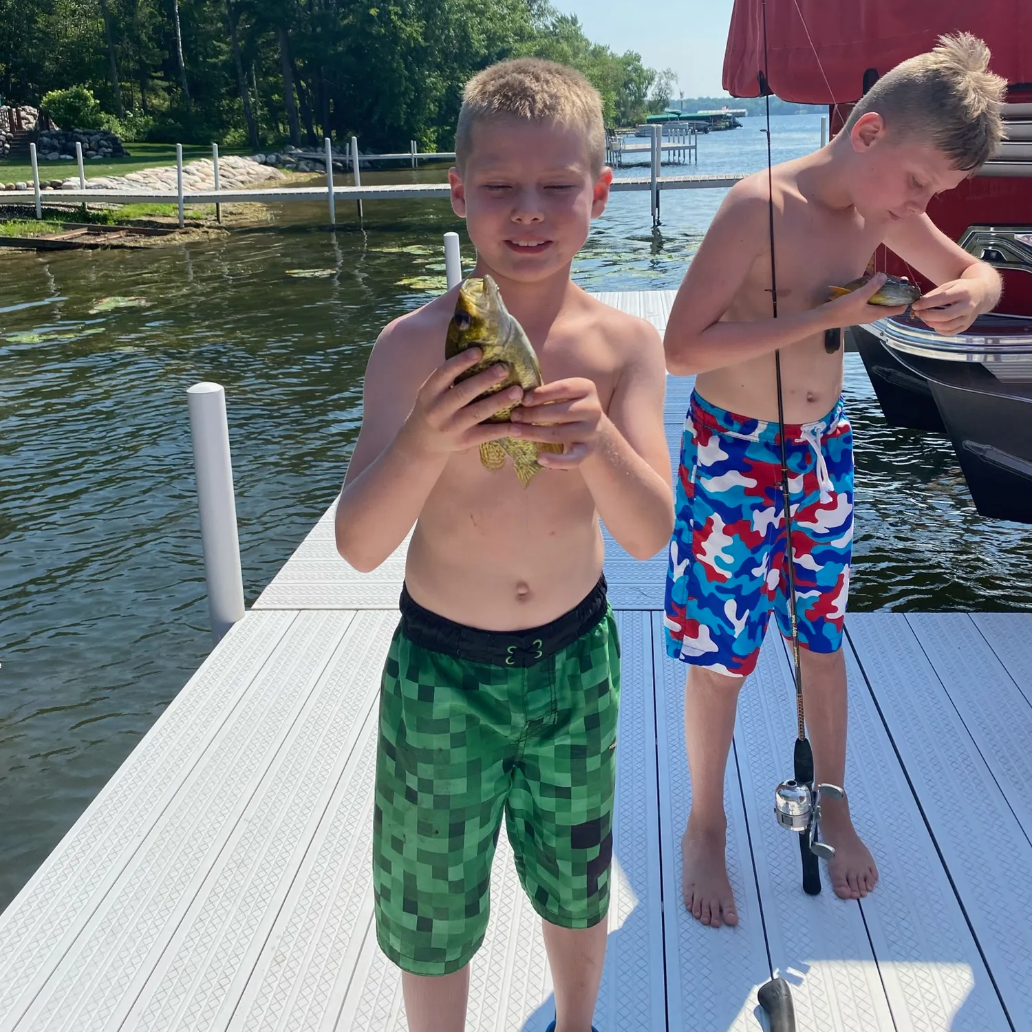 recently logged catches