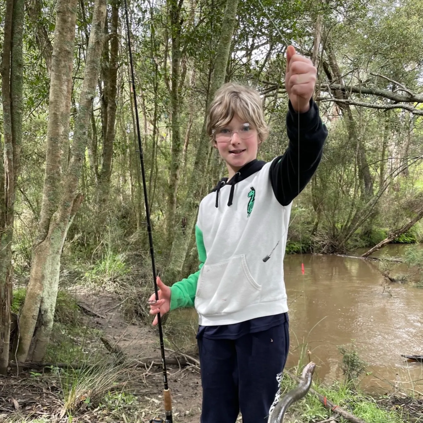 The most recent Shortfin eel catches on Fishbrain