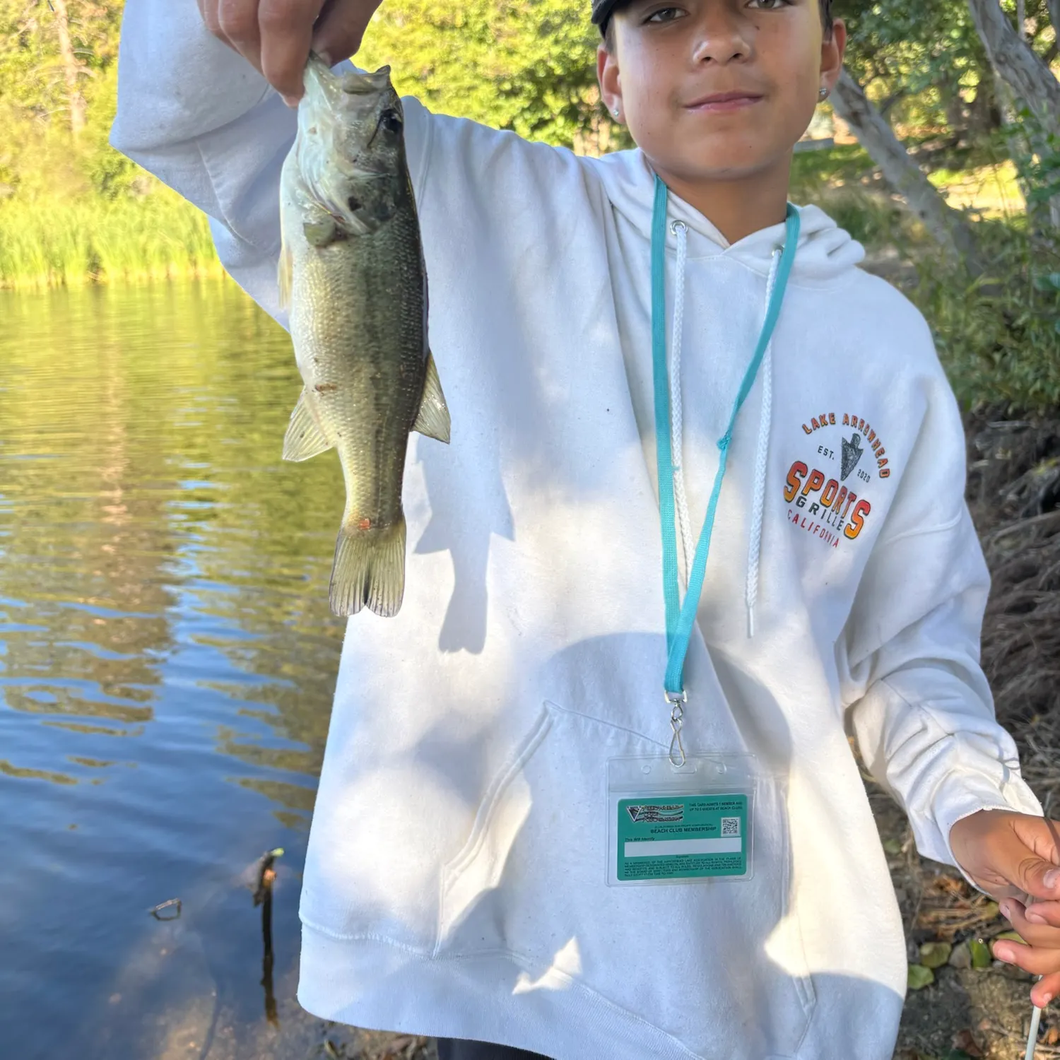 Largemouth bass caught on Fishbrain