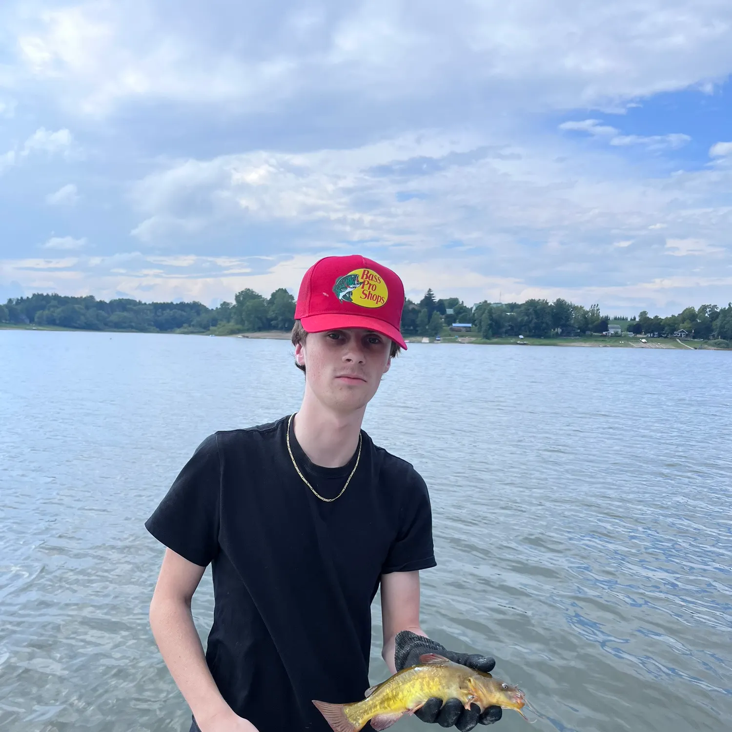 Yellow bullhead caught on Fishbrain