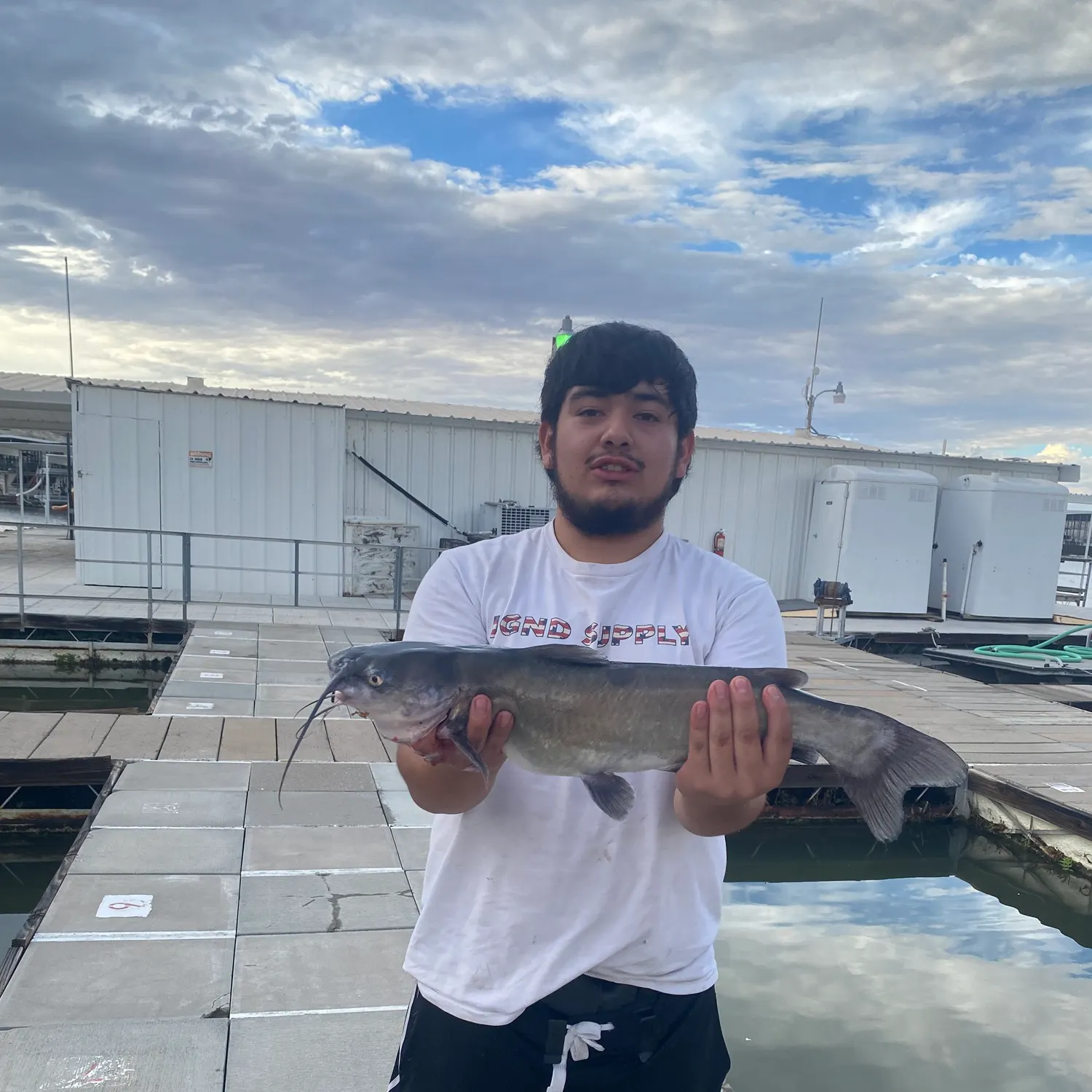 Channel catfish caught on Fishbrain