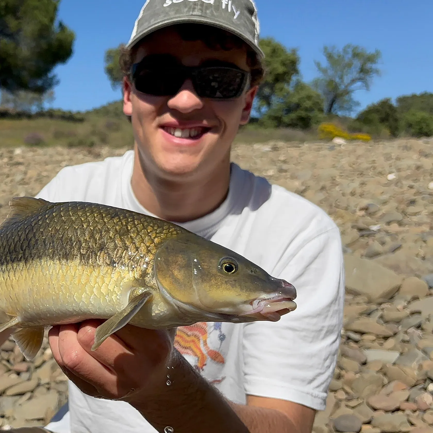 The most recent Andalusian barbel catches on Fishbrain