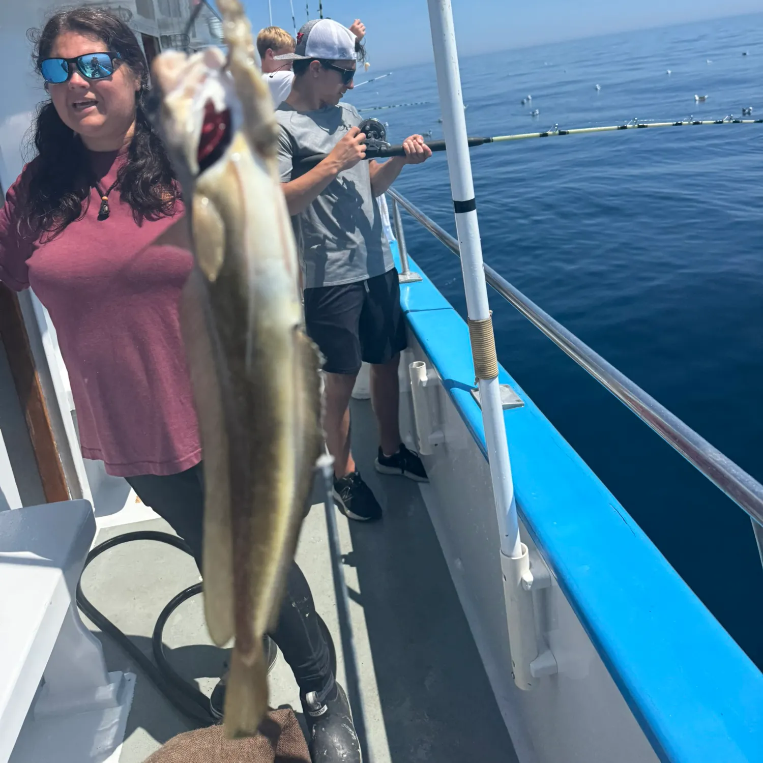The most recent Red hake catches on Fishbrain
