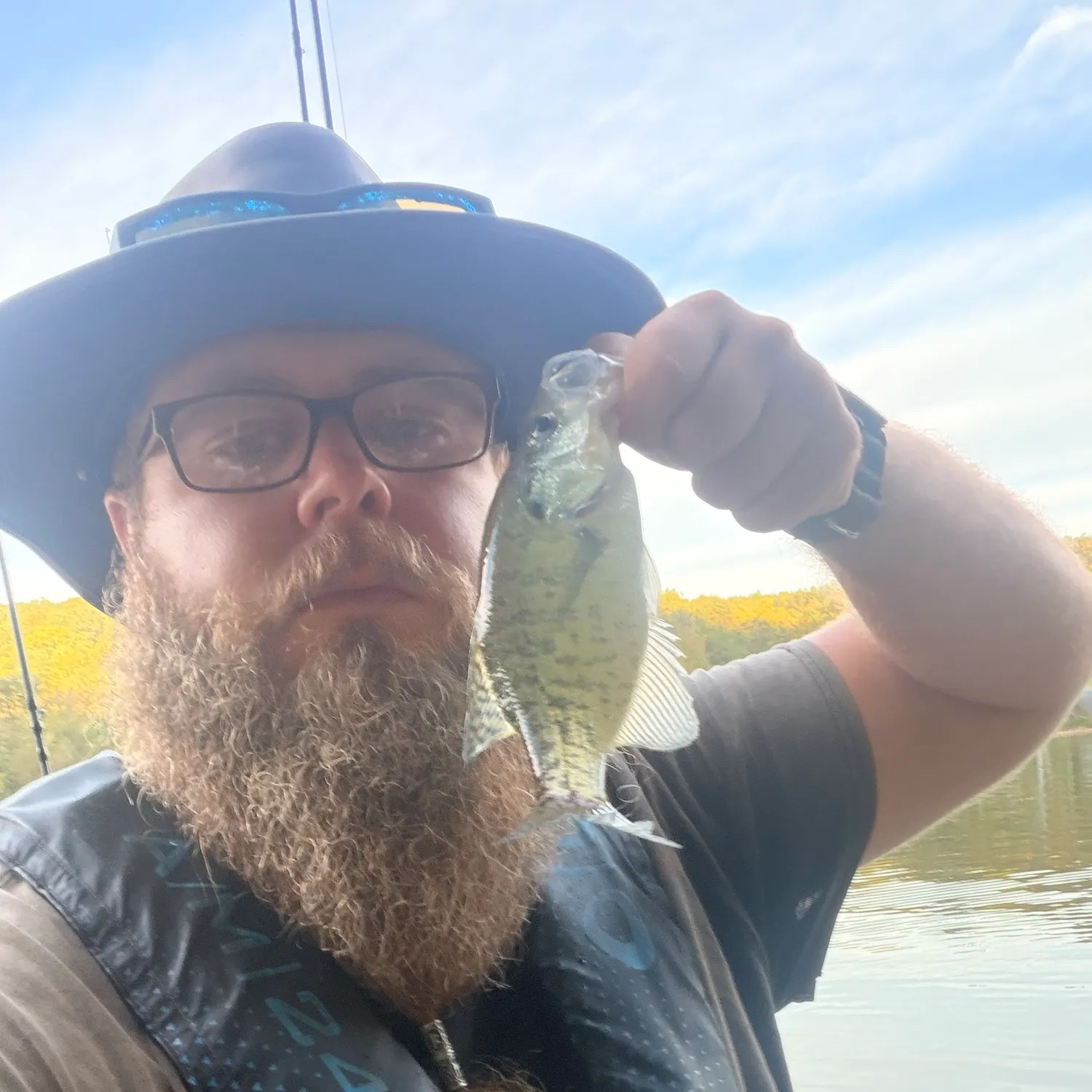 White crappie caught on Fishbrain