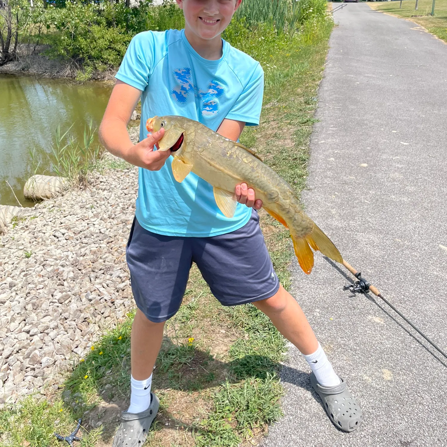 Mirror carp caught on Fishbrain