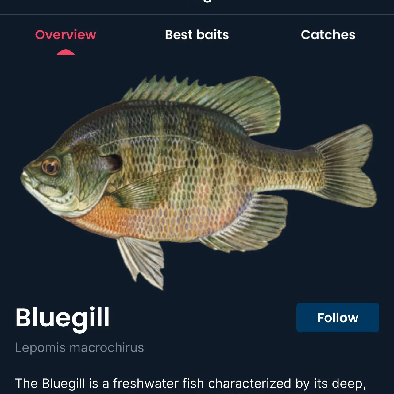recently logged catches
