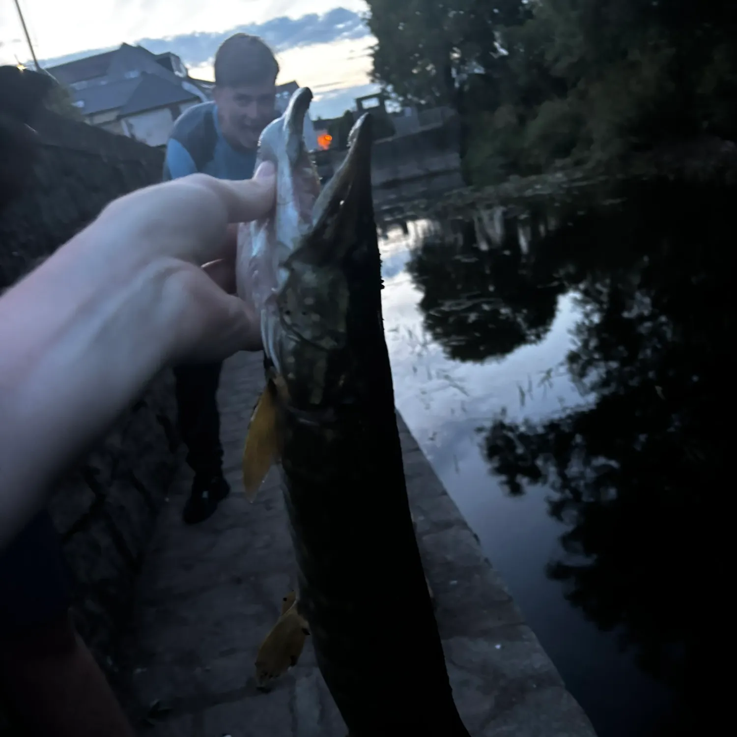 catch