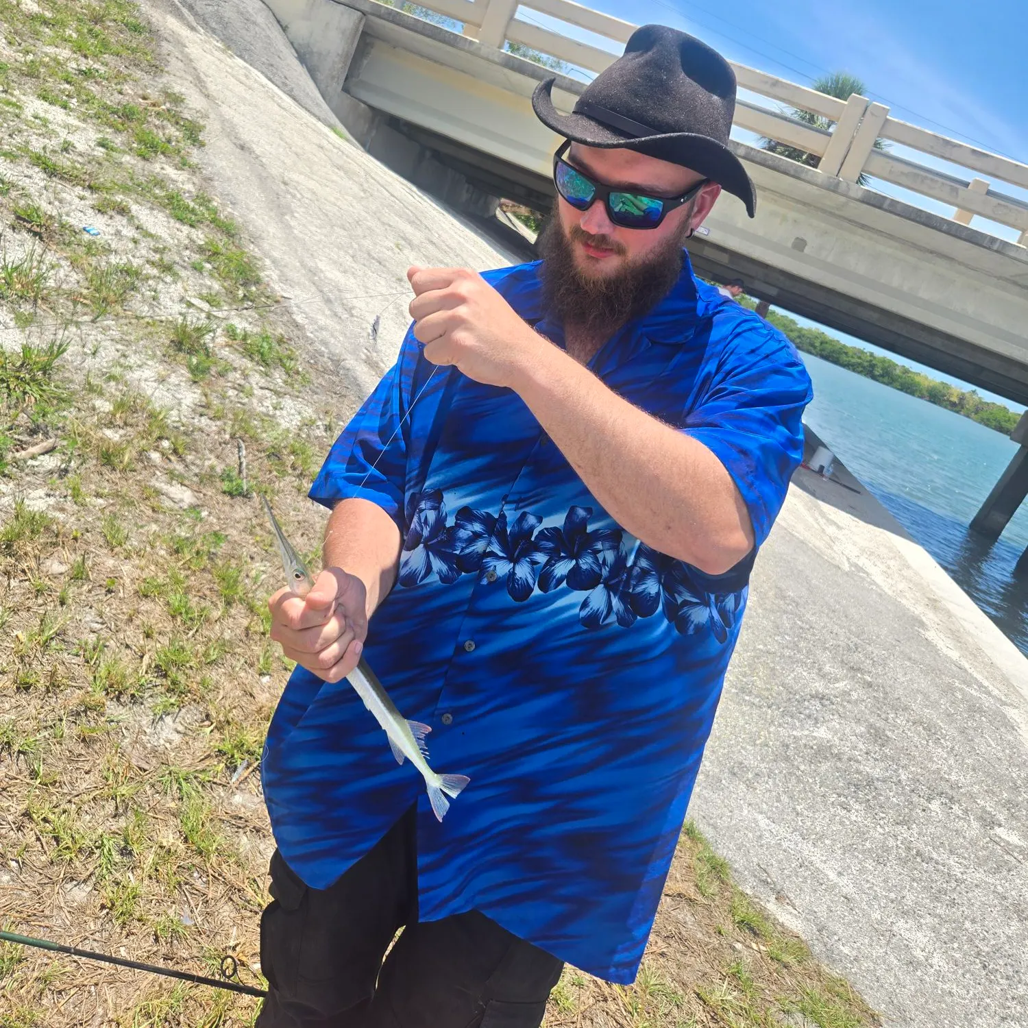 The most recent Flat needlefish catches on Fishbrain
